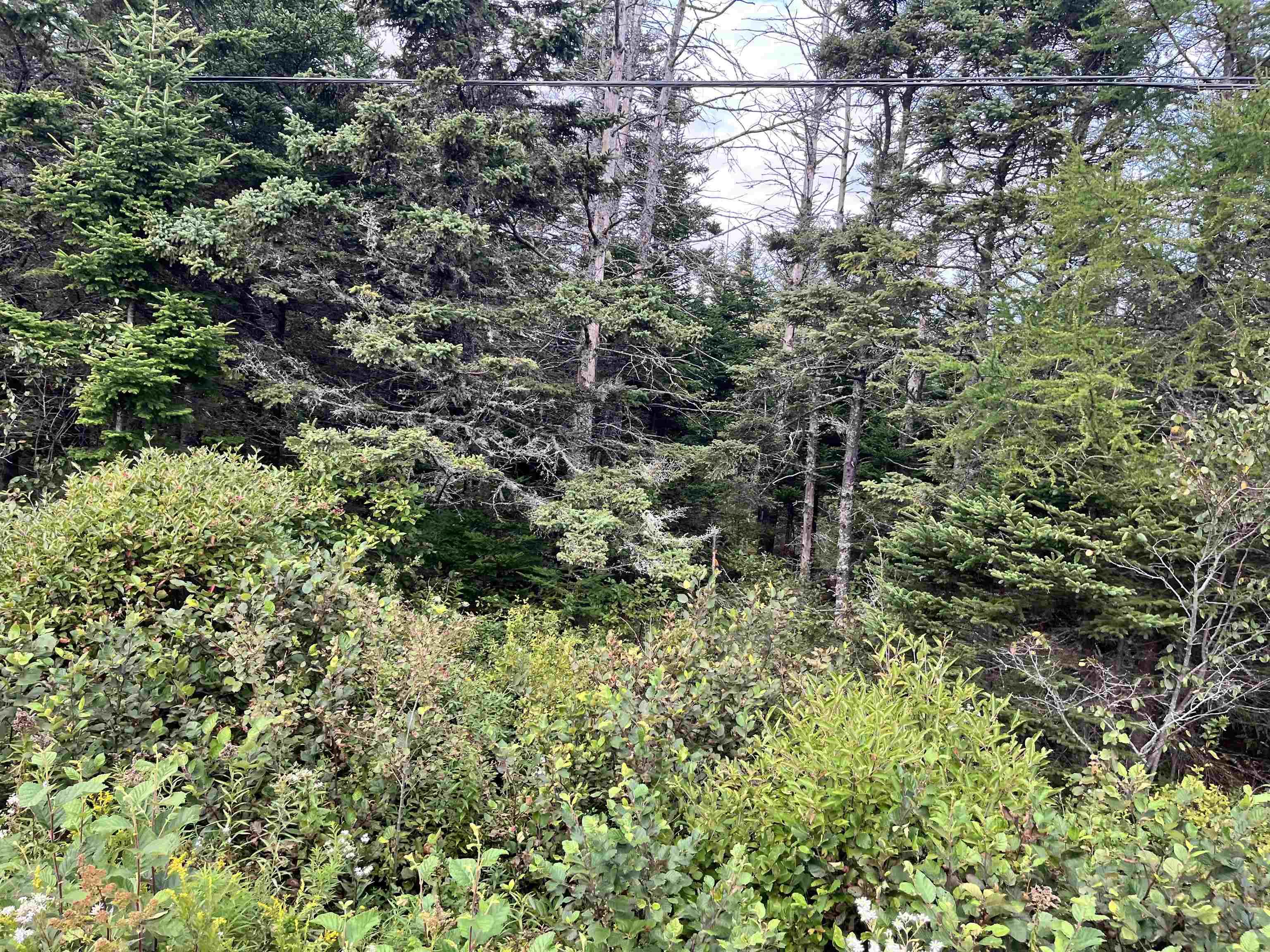 $94,900.00: Highway 7, Spry Bay