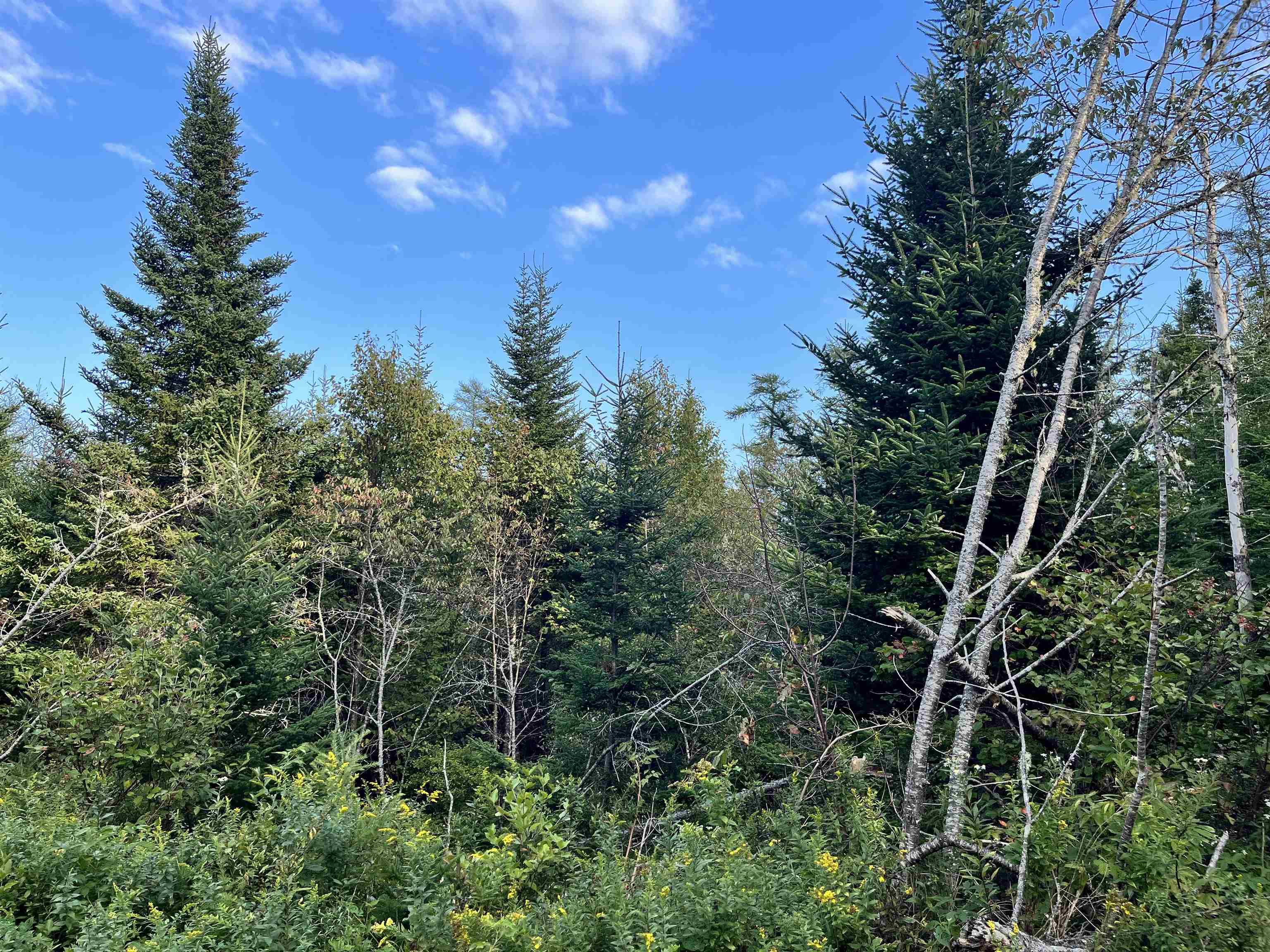 $94,900.00: Highway 7, Spry Bay
