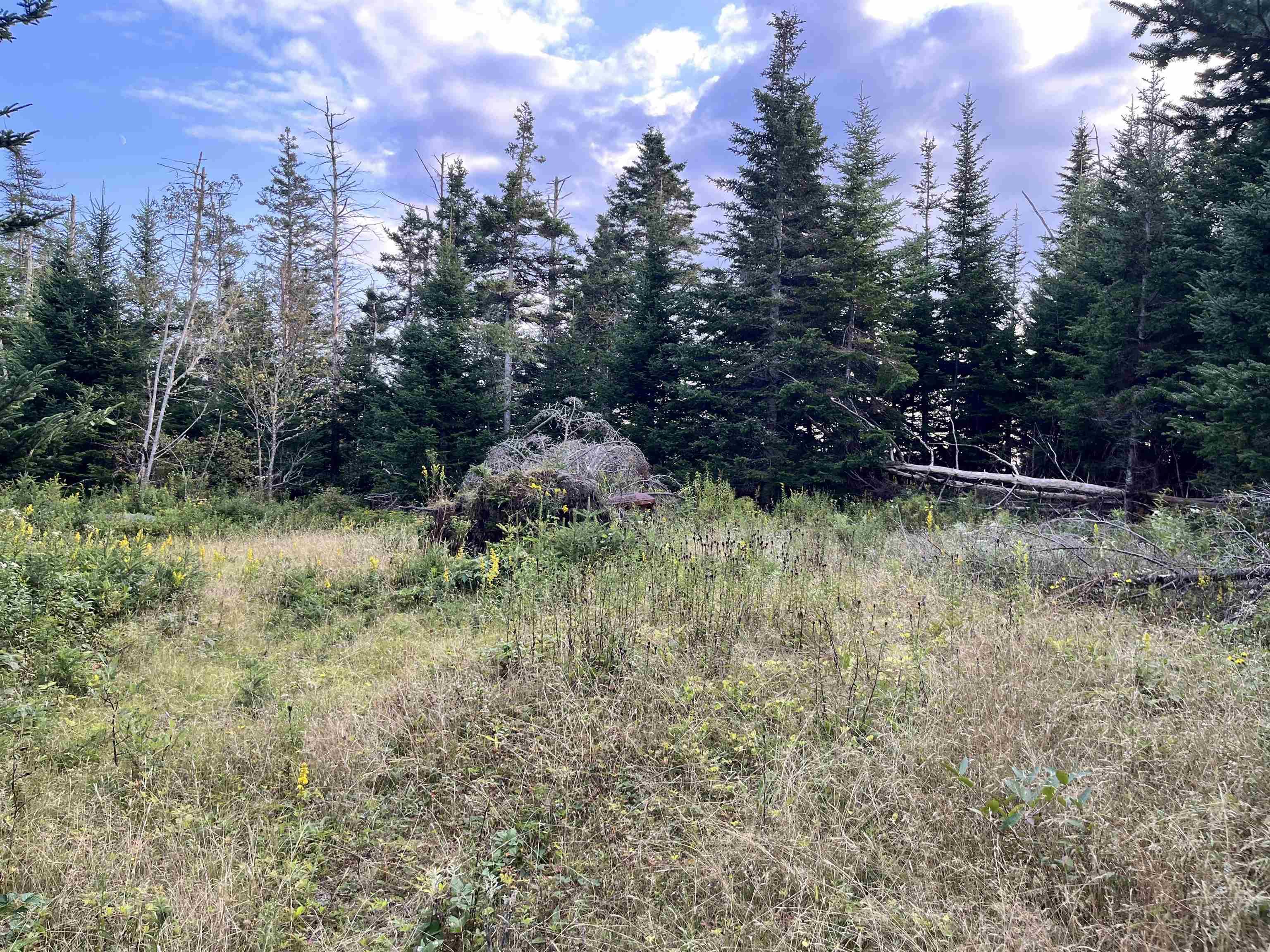 $94,900.00: Highway 7, Spry Bay