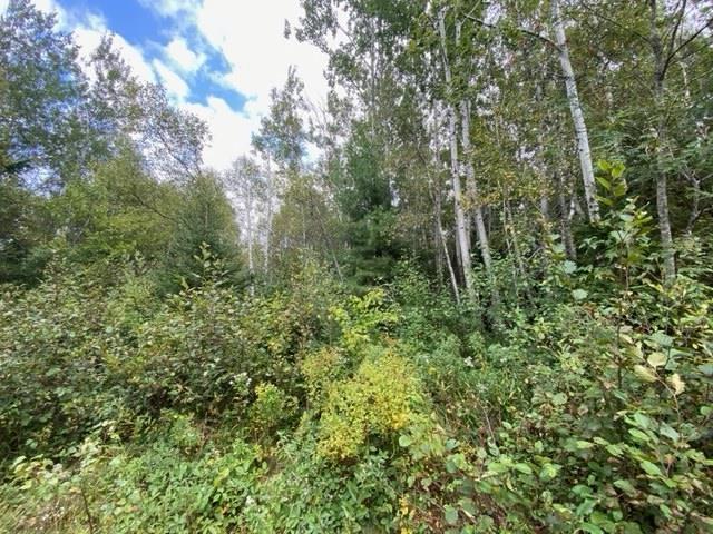 $149,000.00: Lot 104 Highway, Linacy