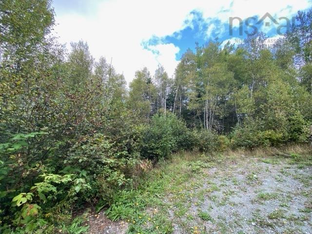 $149,000.00: Lot 104 Highway, Linacy
