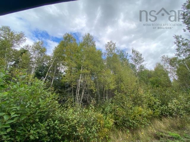 $149,000.00: Lot 104 Highway, Linacy
