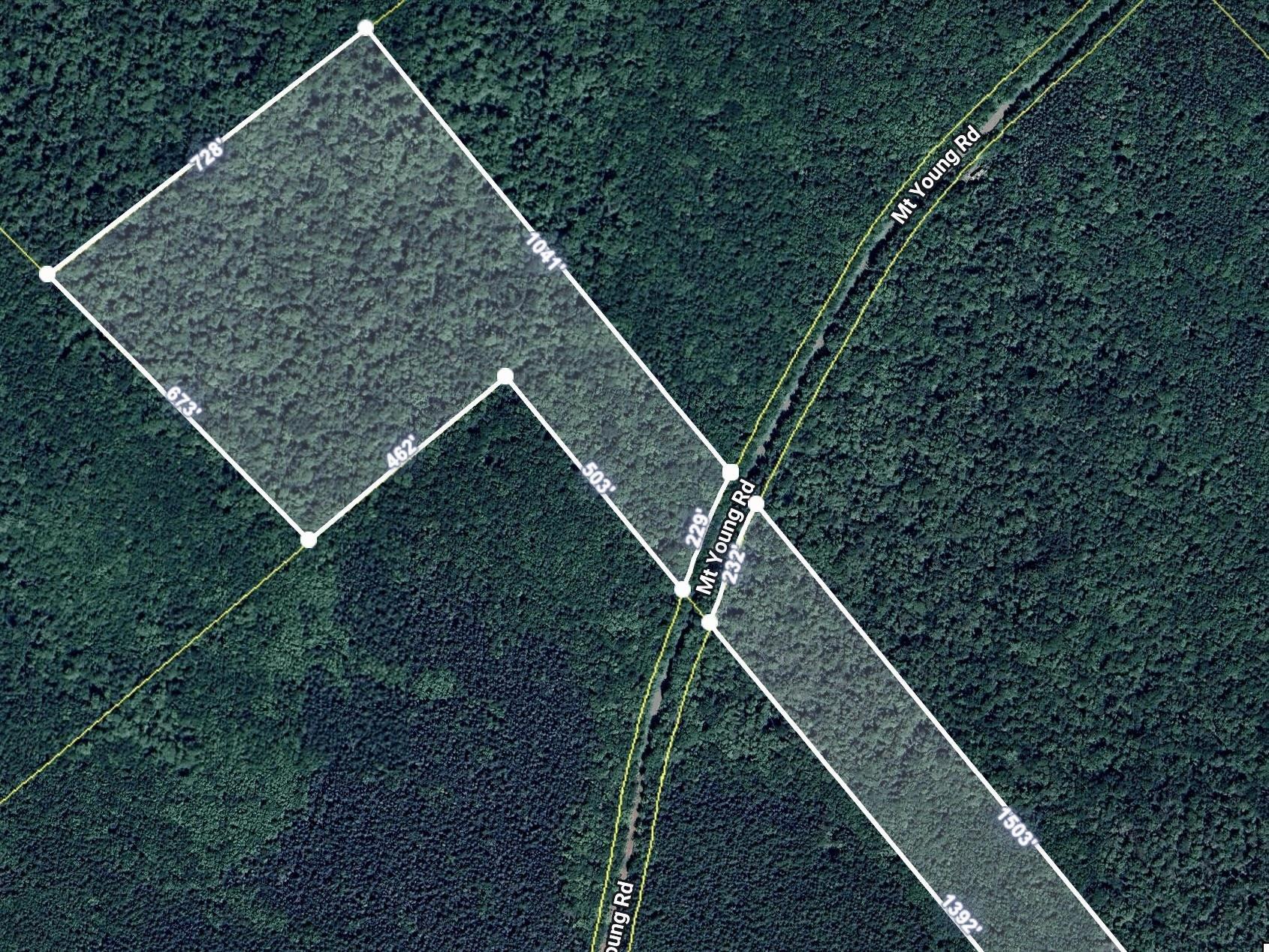 $35,000.00: 0 Mt.Young Rd. Road, Scotsville