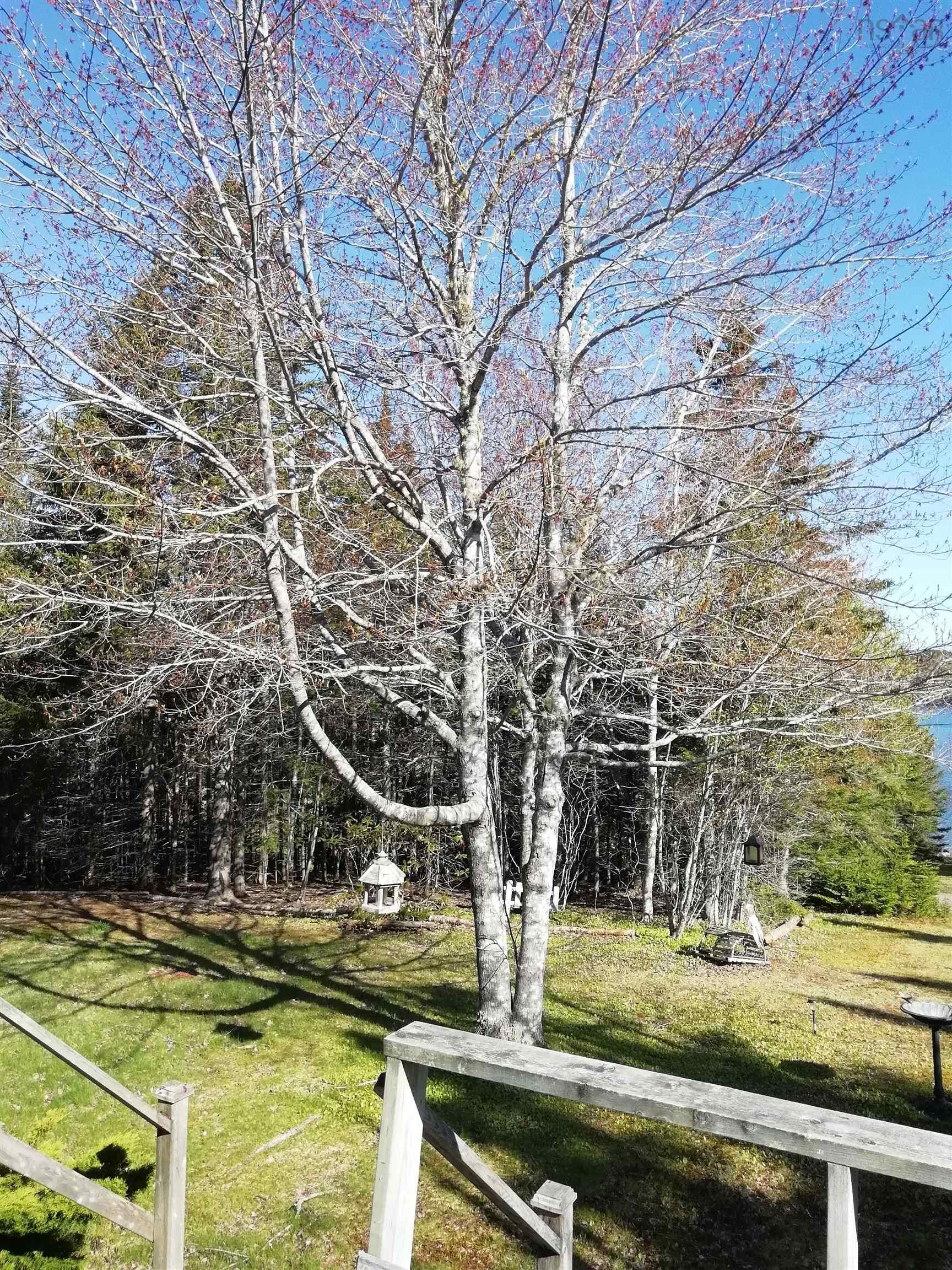 $349,900.00: 97 MacIntosh Road, Guysborough County