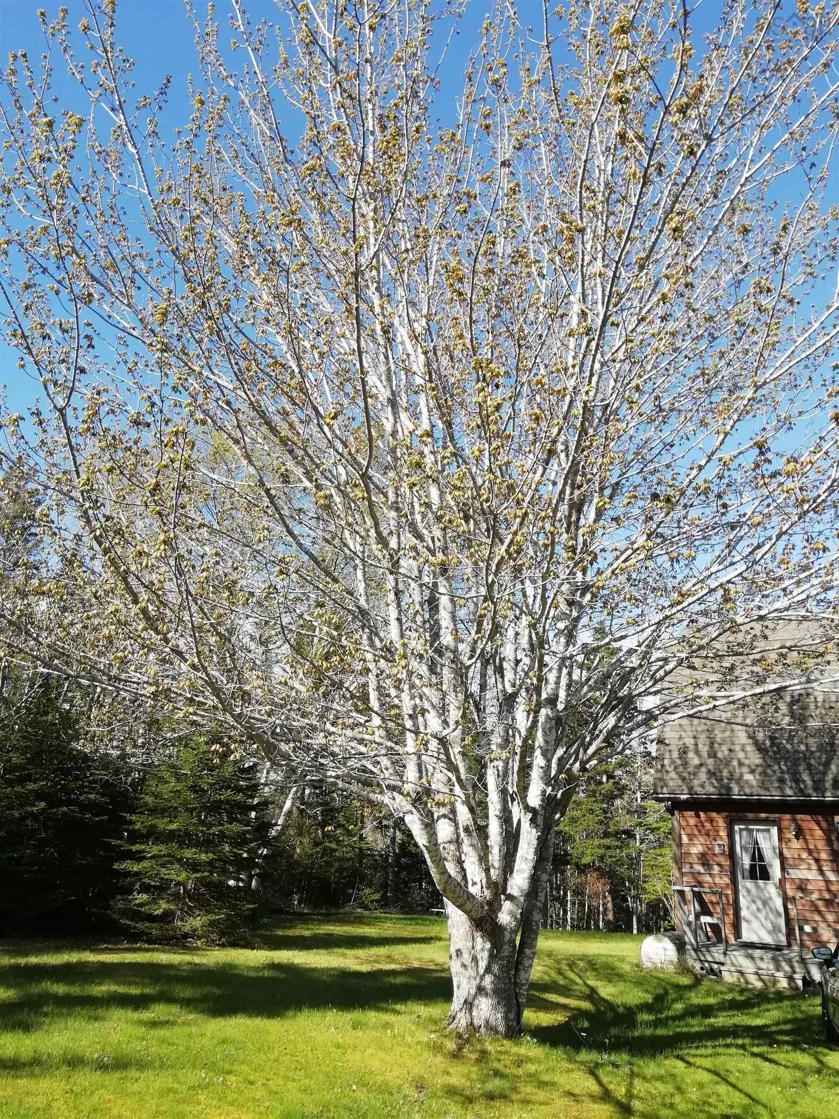 $349,900.00: 97 MacIntosh Road, Guysborough County