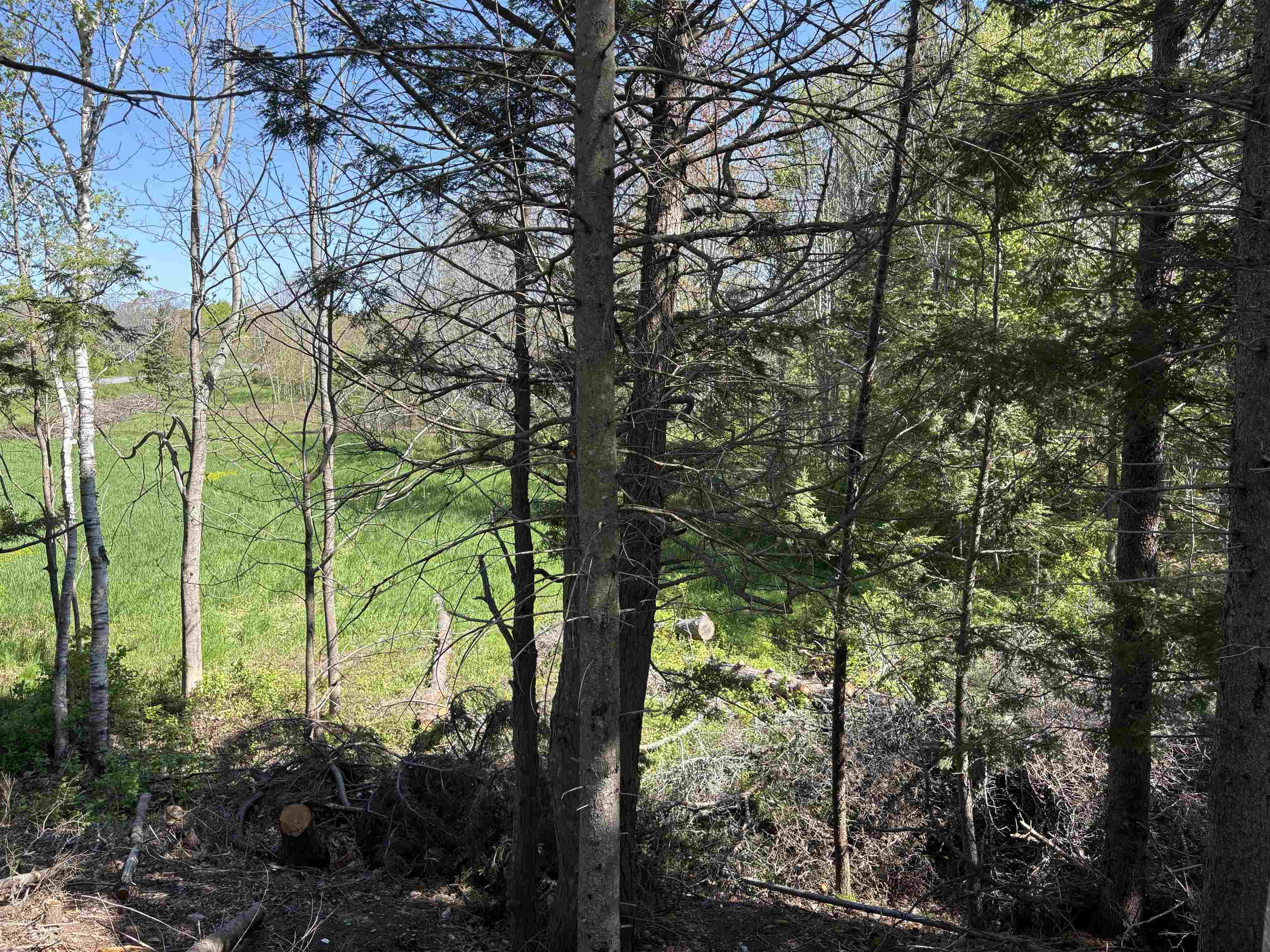 $59,900.00: Lot 2.4+- Acres Oliver Road, Hazel Glen