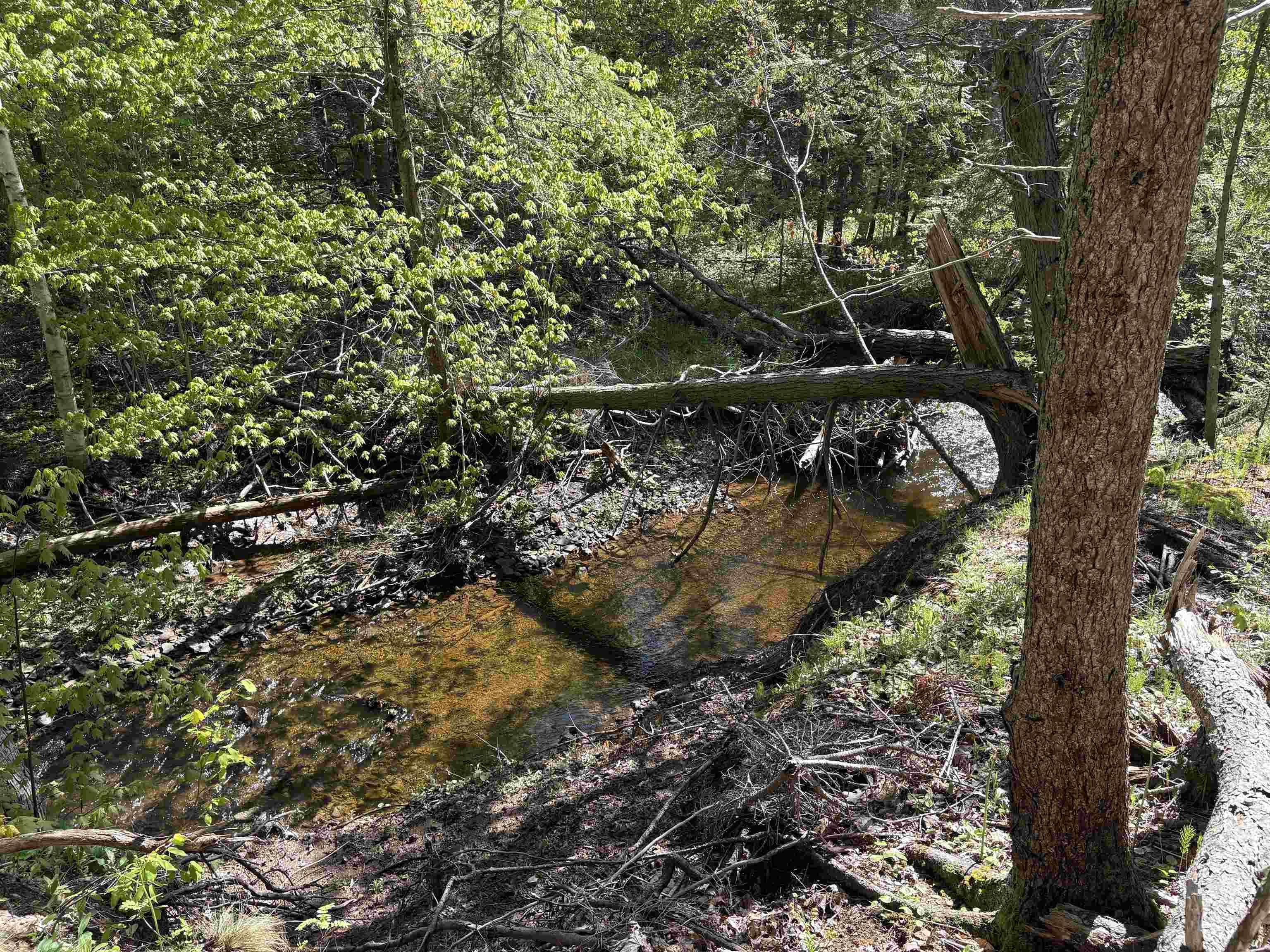 $59,900.00: Lot 2.4+- Acres Oliver Road, Hazel Glen