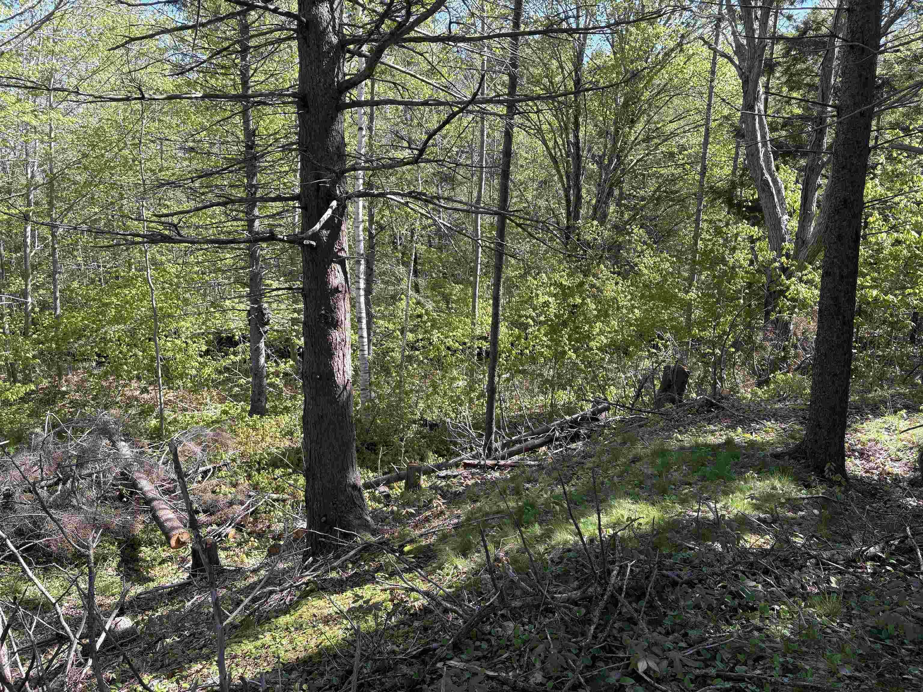 $59,900.00: Lot 2.4+- Acres Oliver Road, Hazel Glen