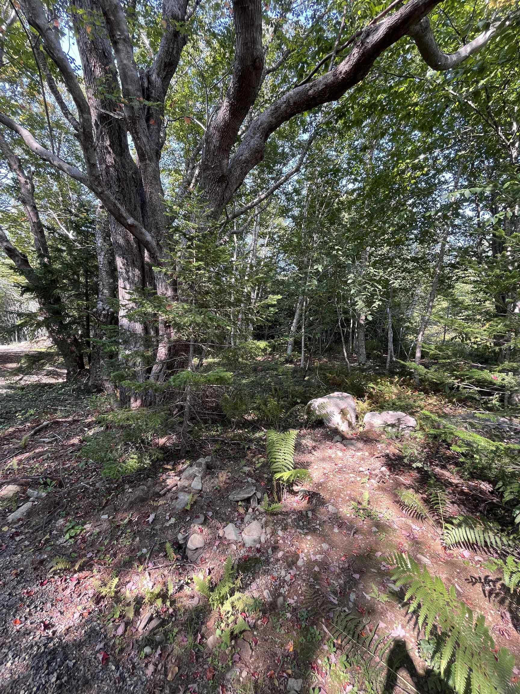 $62,500.00: Lot 340 Highway, Hassett