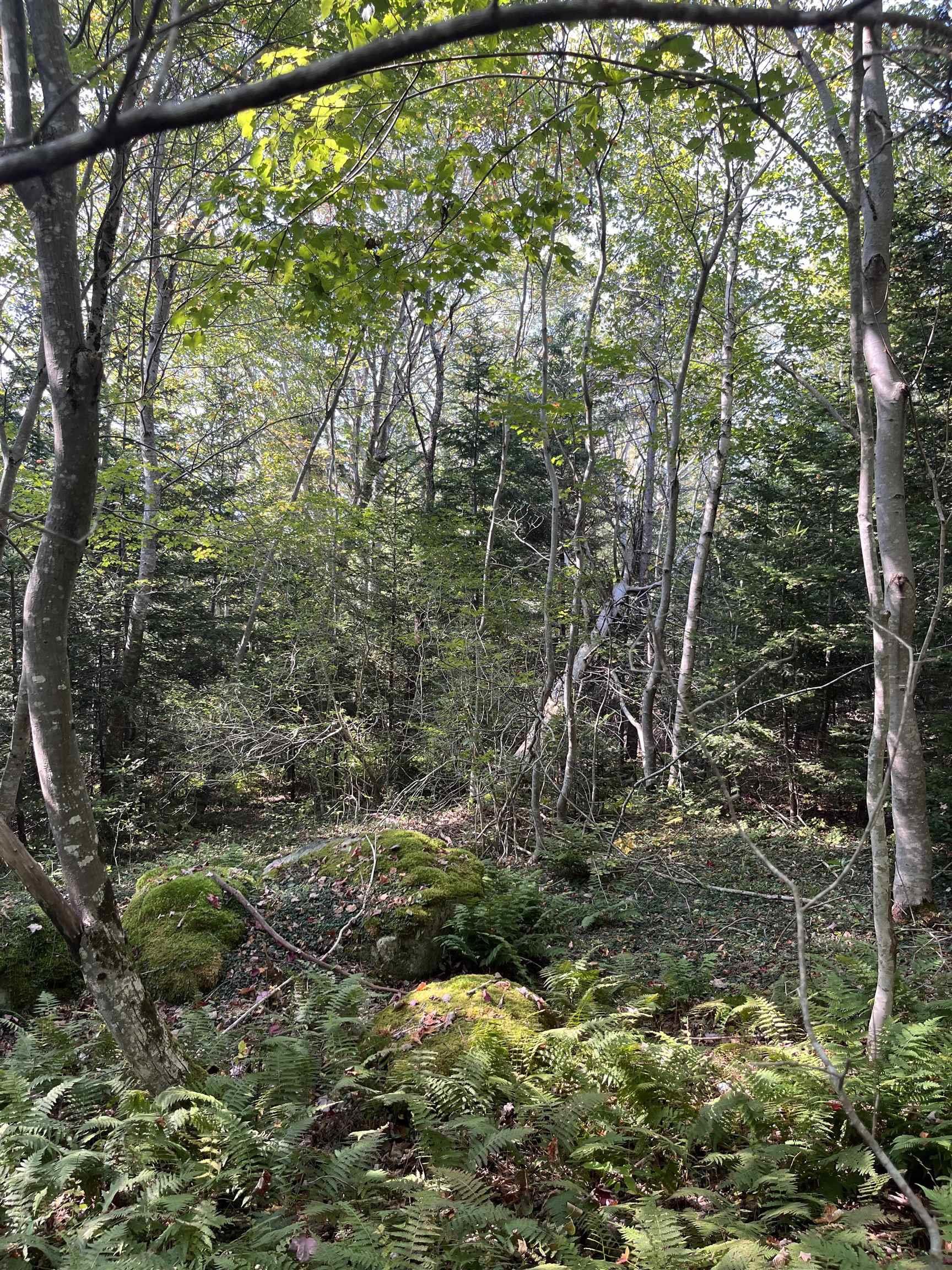 $62,500.00: Lot 340 Highway, Hassett