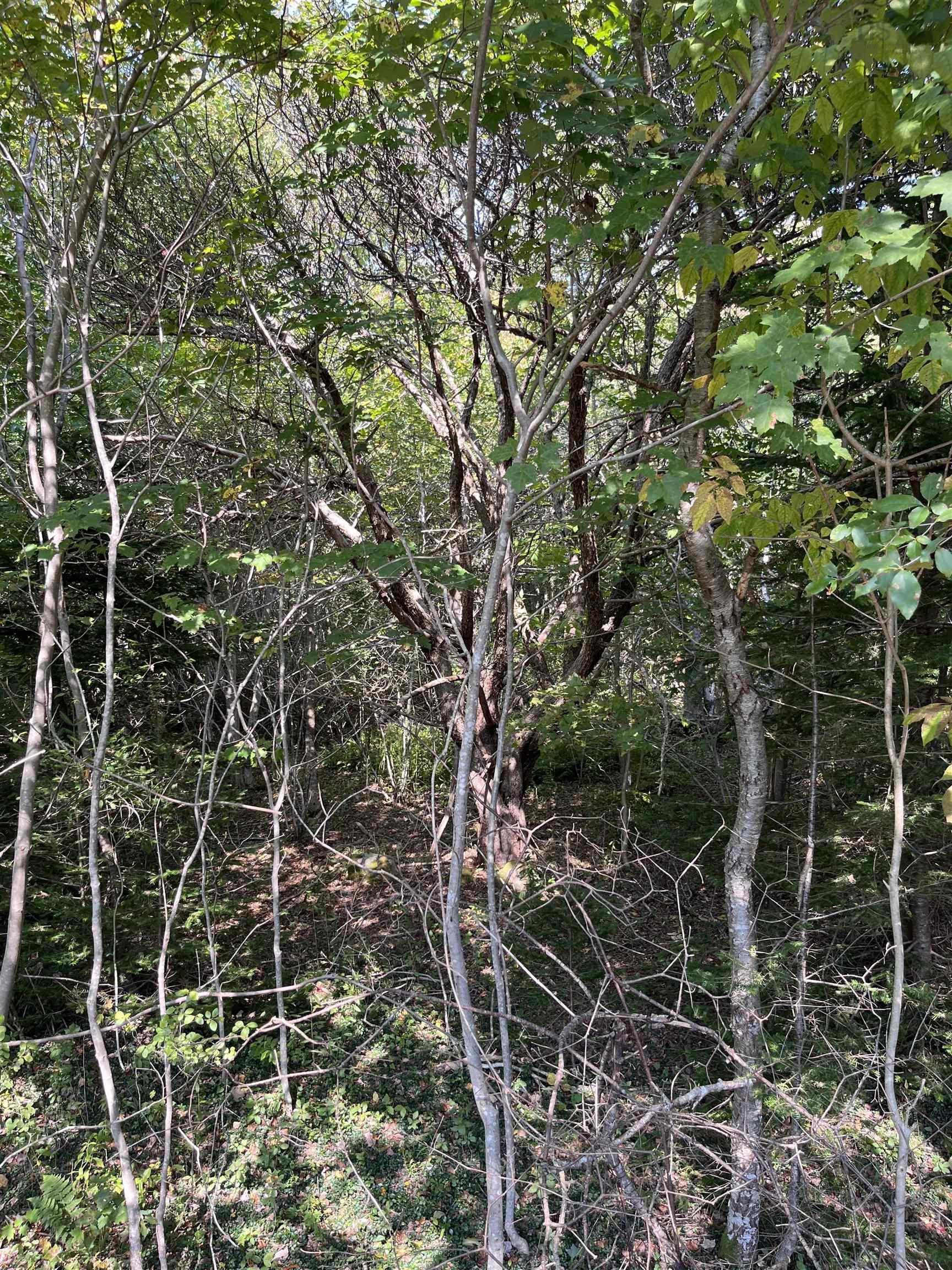 $62,500.00: Lot 340 Highway, Hassett