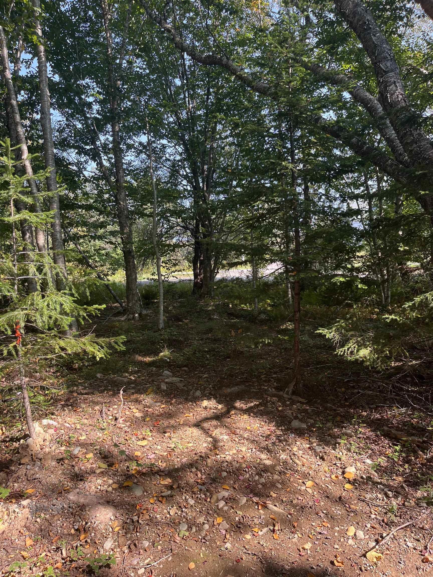 $62,500.00: Lot 340 Highway, Hassett