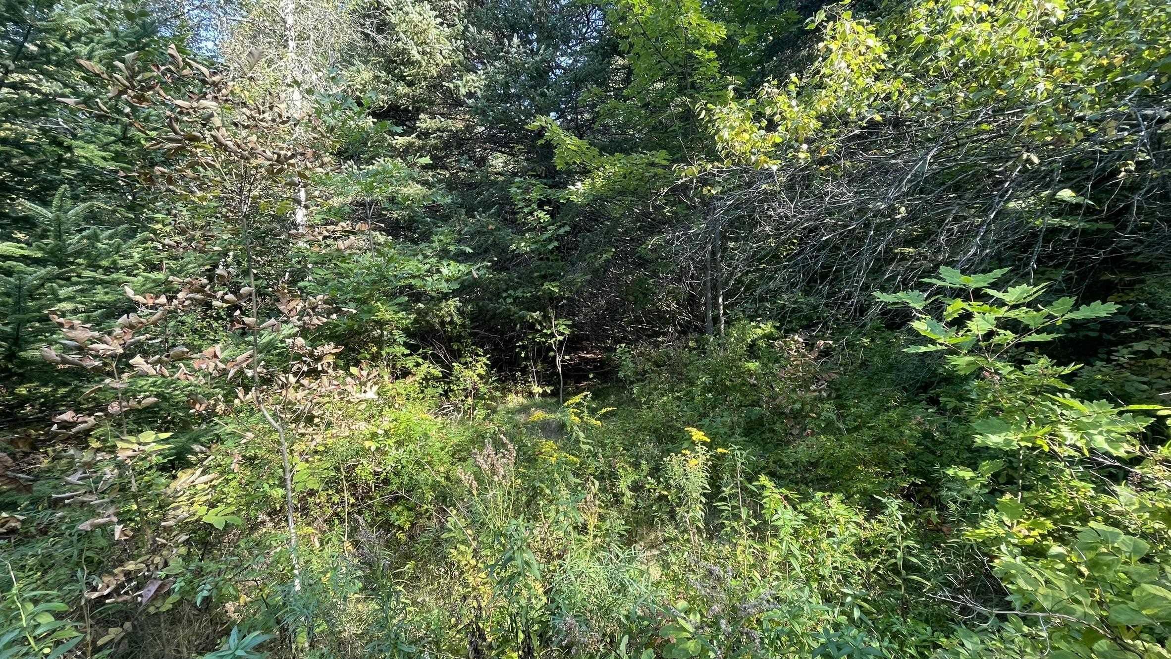 $18,500.00: Lot Inglisville Road, Nictaux Falls