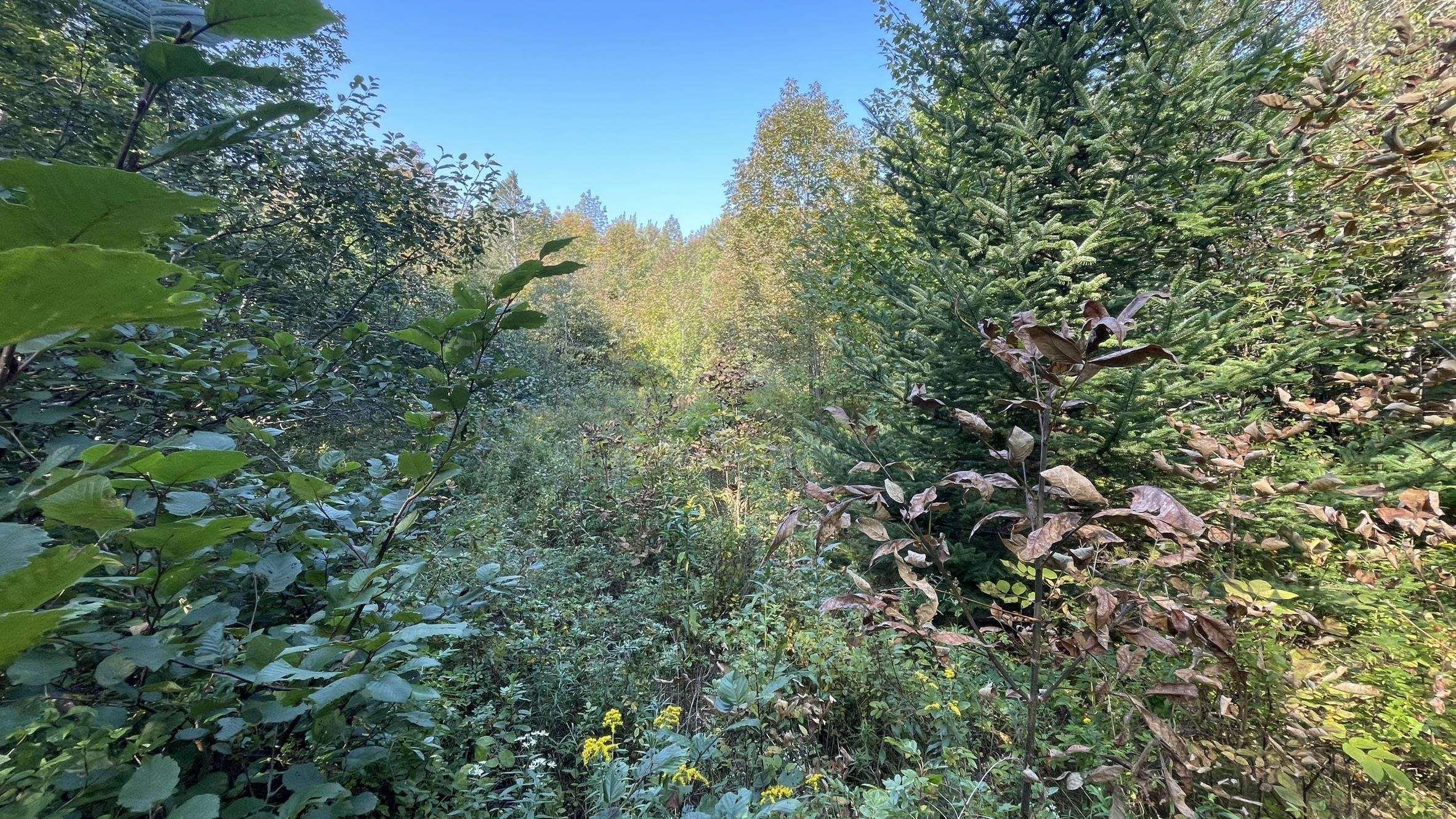 $18,500.00: Lot Inglisville Road, Nictaux Falls