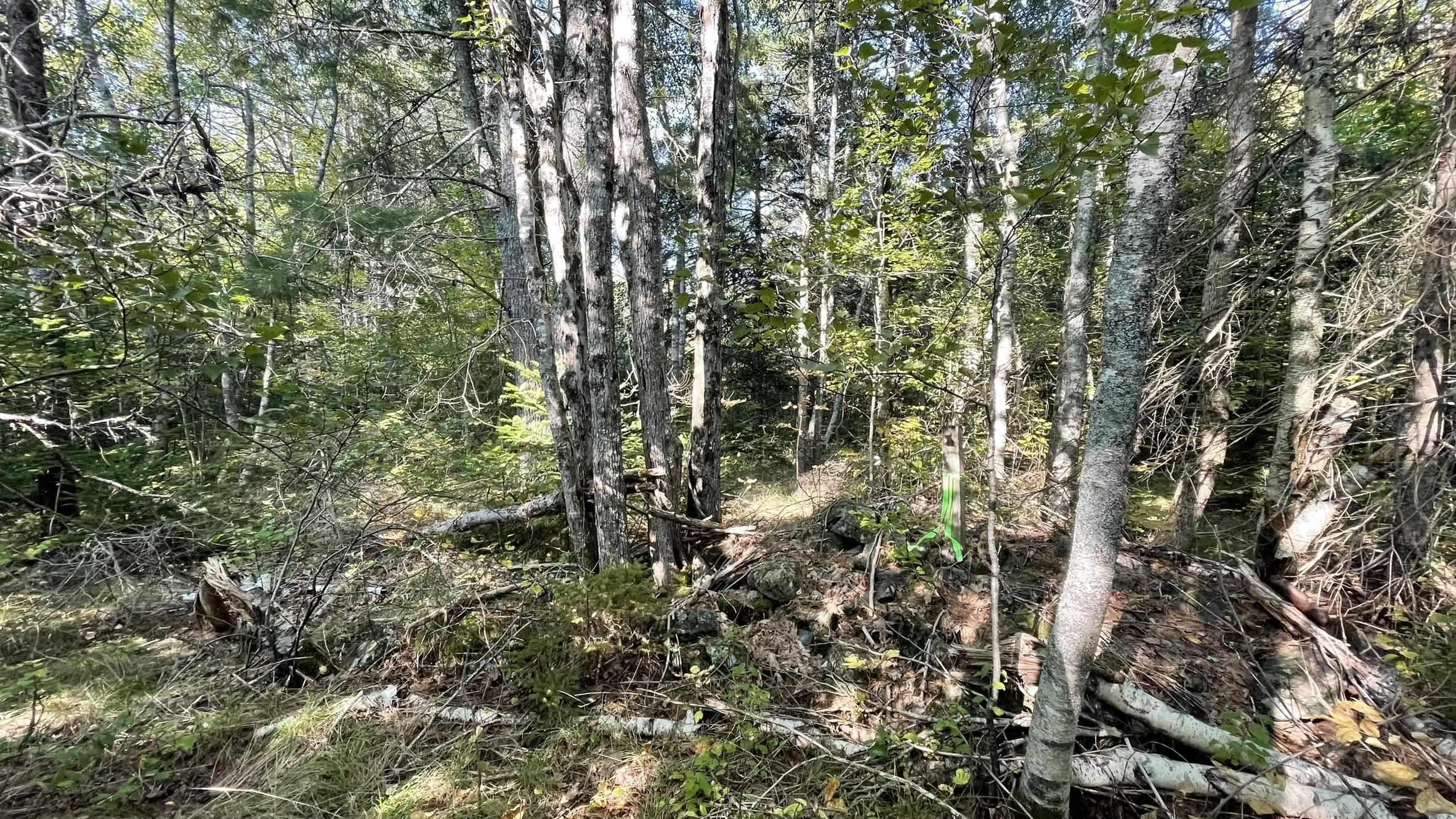 $18,500.00: Lot Inglisville Road, Nictaux Falls