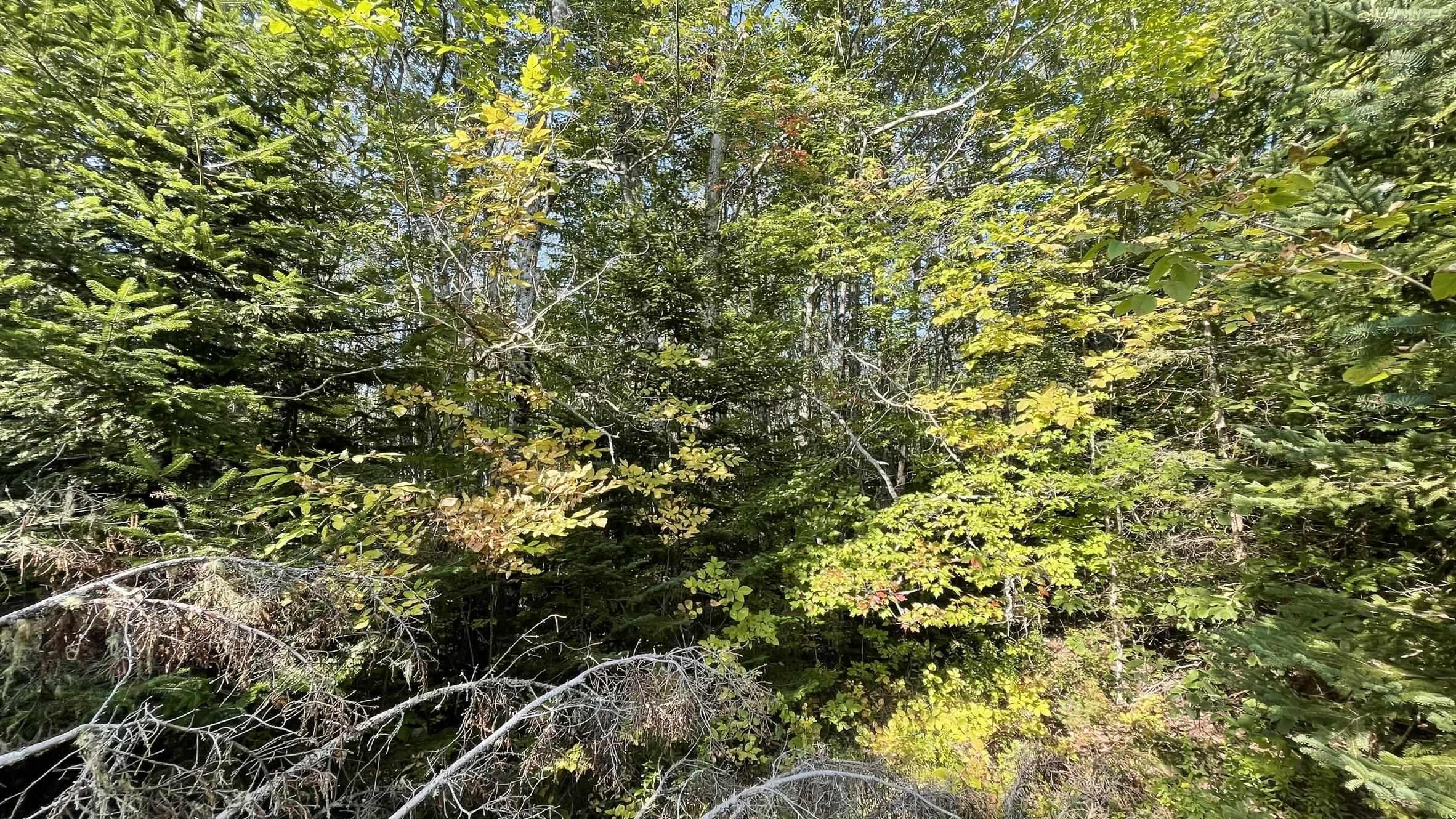 $18,500.00: Lot Inglisville Road, Nictaux Falls