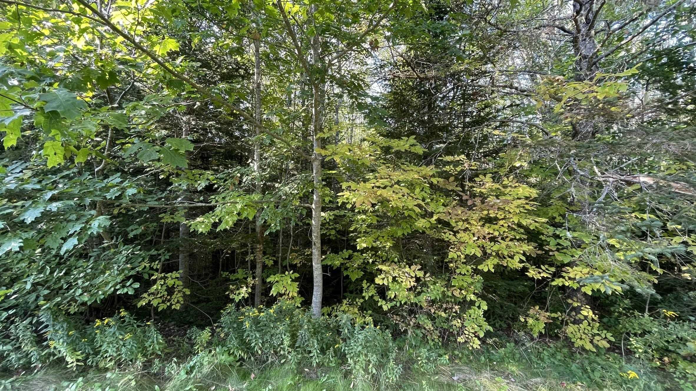 $18,500.00: Lot Inglisville Road, Nictaux Falls