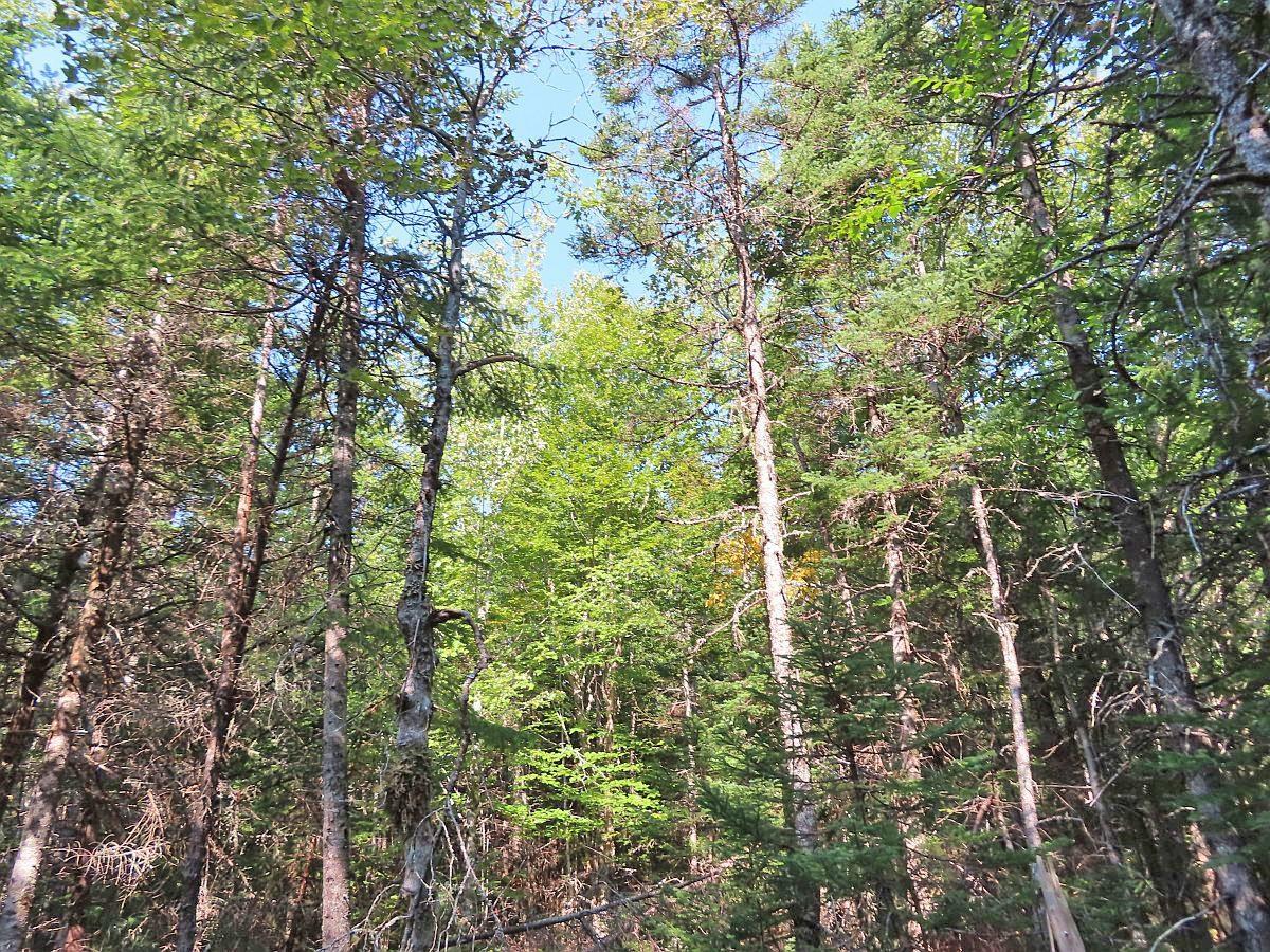 $85,000.00: Lot 5 Basin Road, Evanston