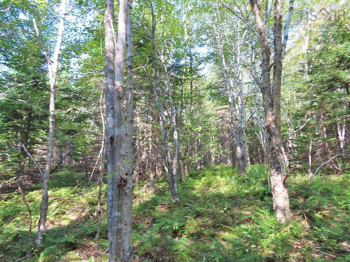 $85,000.00: Lot 5 Basin Road, Evanston