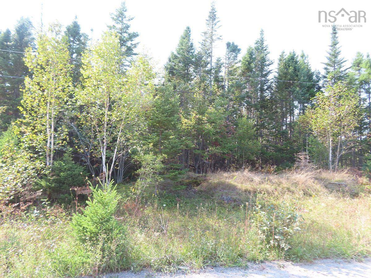 $85,000.00: Lot 5 Basin Road, Evanston