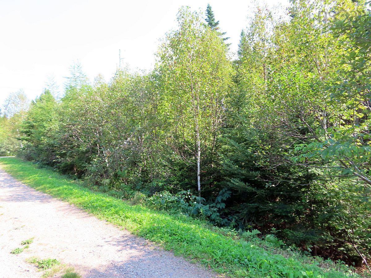 $85,000.00: Lot 5 Basin Road, Evanston