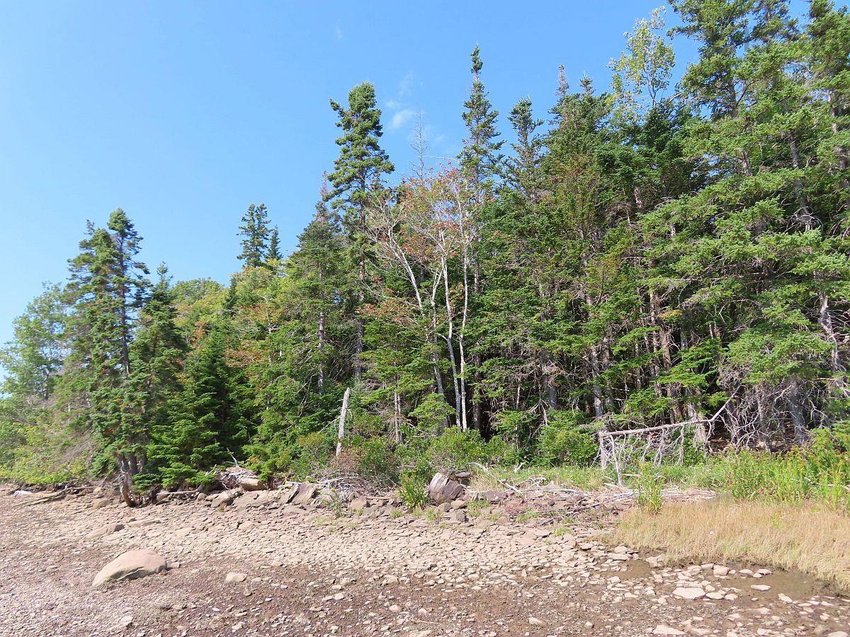 $85,000.00: Lot 5 Basin Road, Evanston