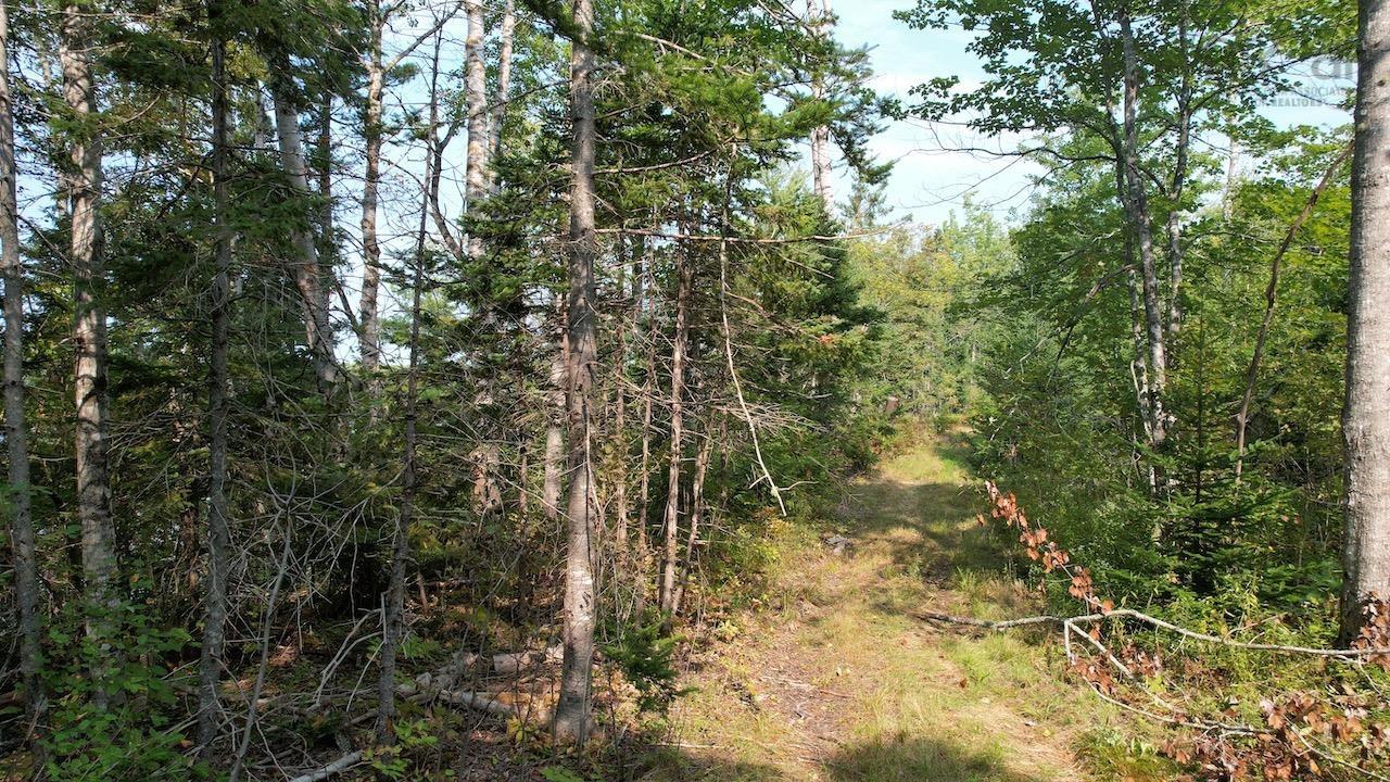 $182,850.00: 24-5 Highway 321 Highway, Roslin
