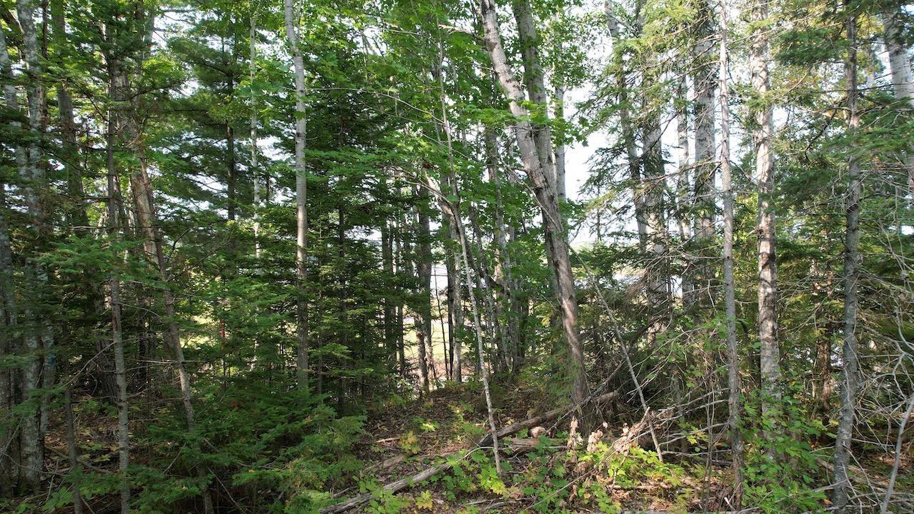 $182,850.00: 24-5 Highway 321 Highway, Roslin