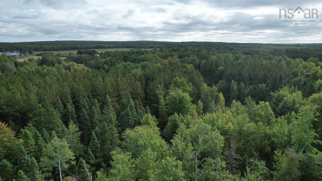 $110,975.00: 24-2 Highway 321 Highway, Roslin