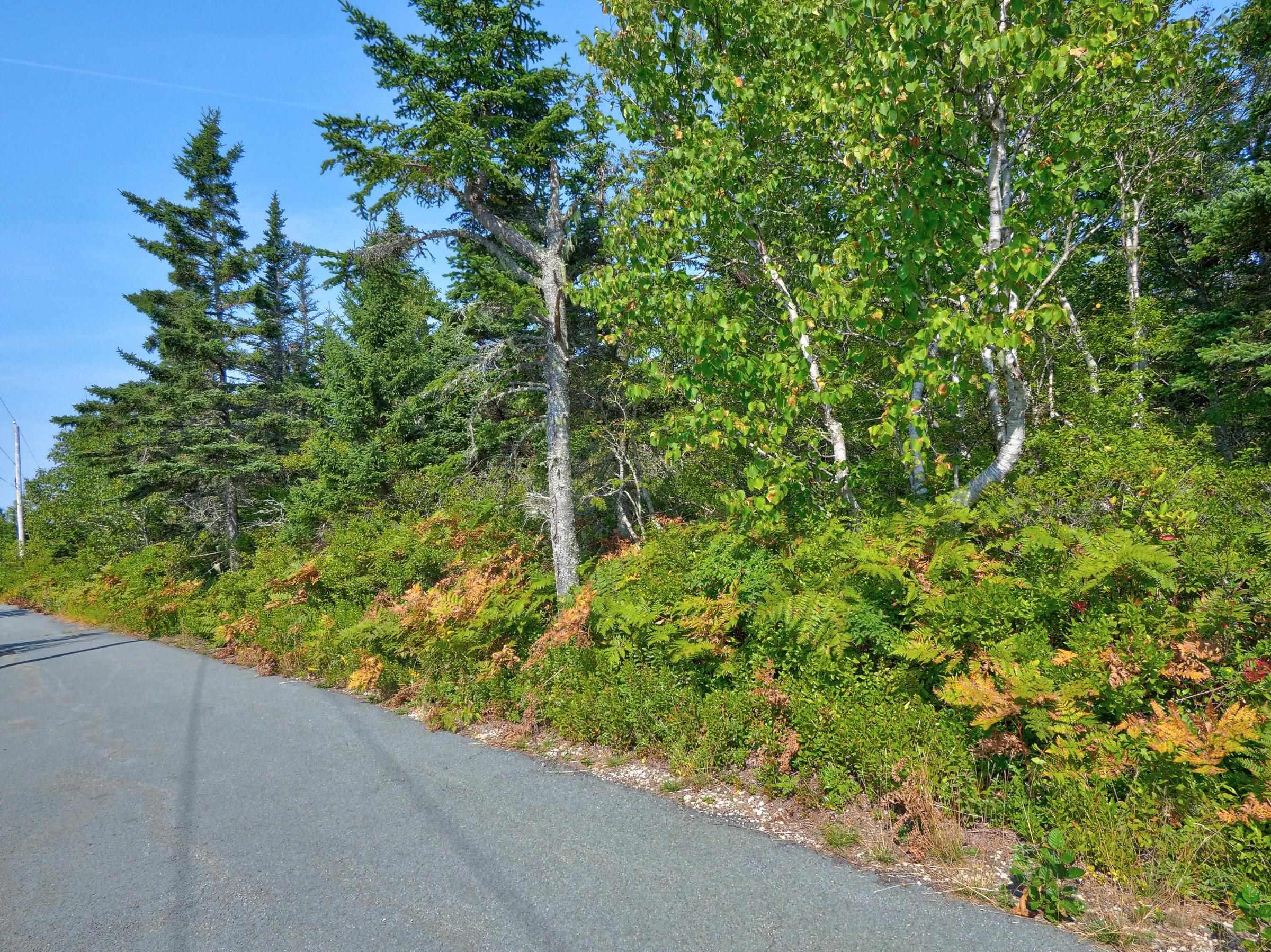$335,000.00: Lot 5A Island Watch Run, Northwest Cove