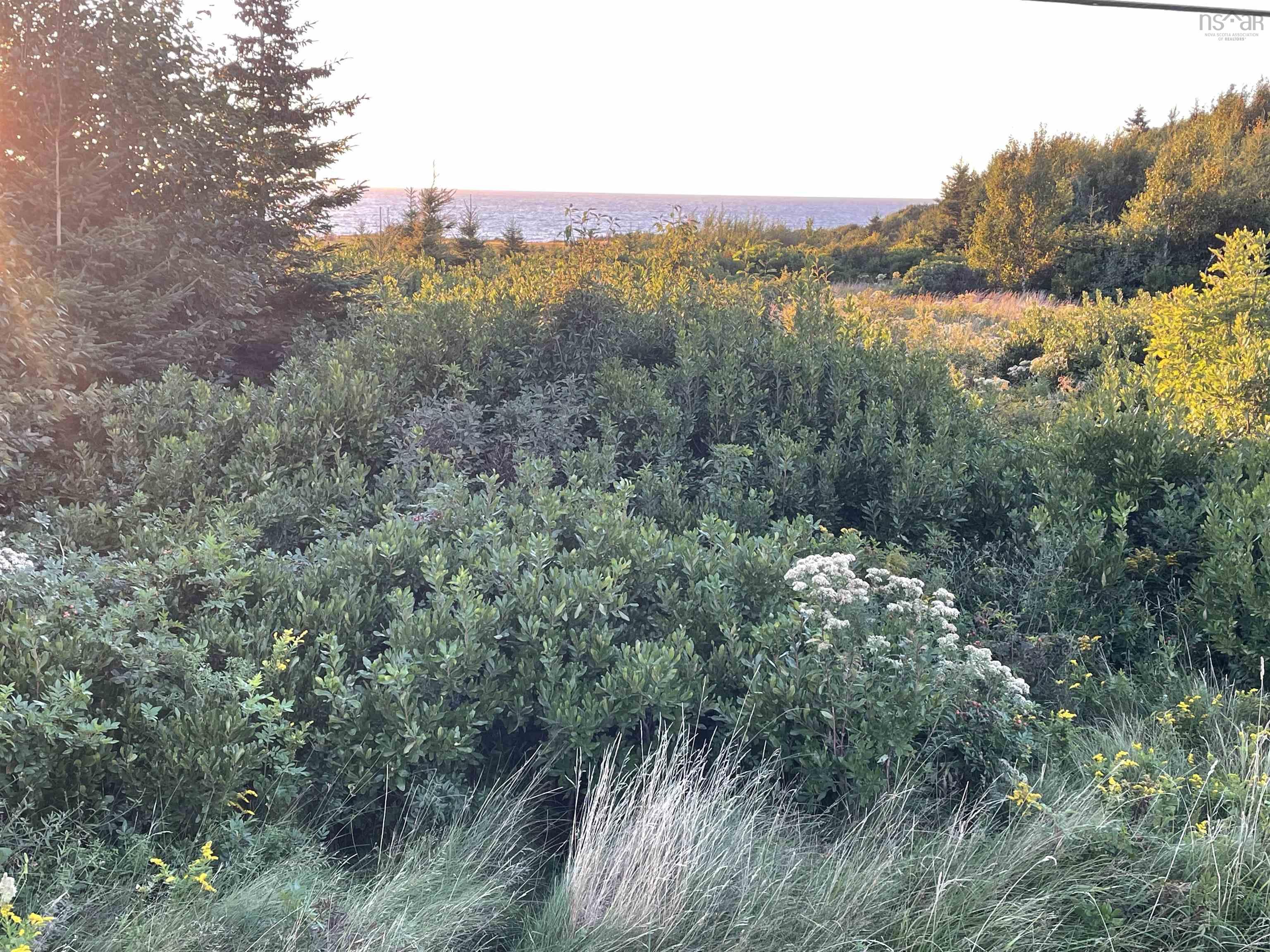 $150,000.00: Cabot Trail, Point Cross