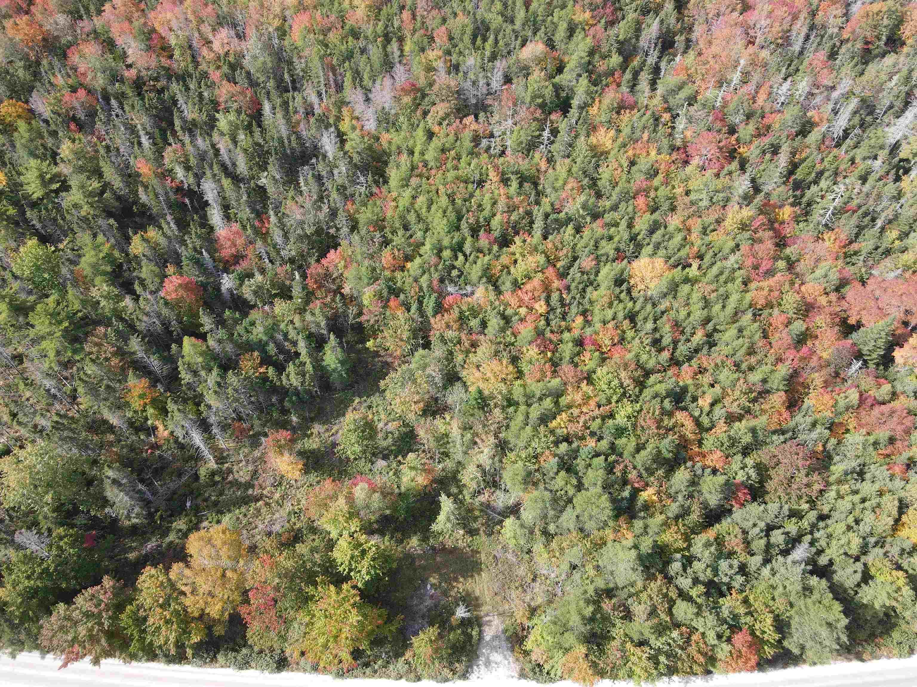 $85,000.00: Lot T-1 Upper Clyde Road, Welshtown