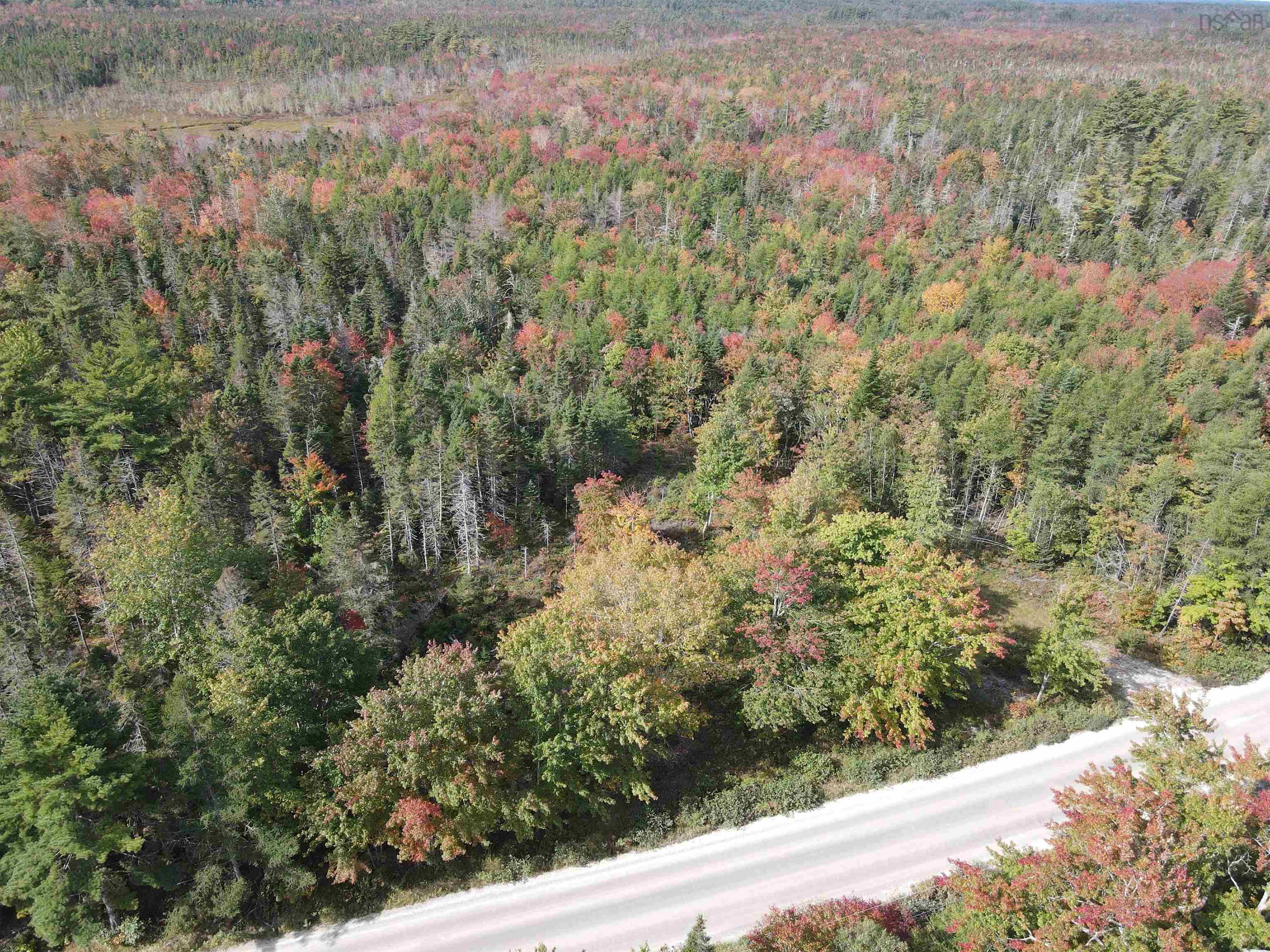 $85,000.00: Lot T-1 Upper Clyde Road, Welshtown