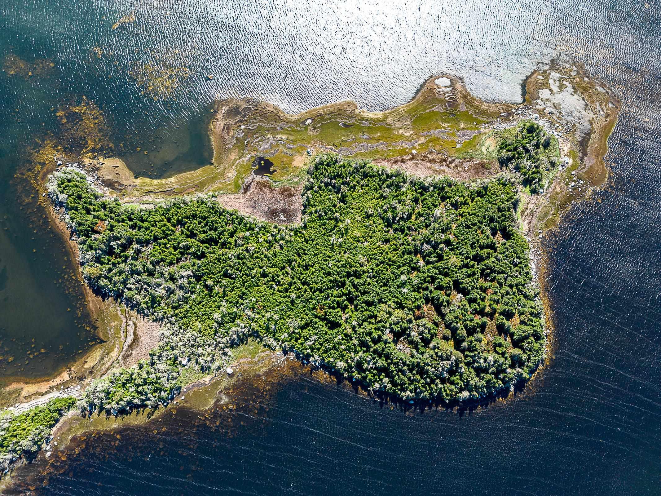 $45,000.00: 3 Highway Bear Point, Shag Harbour