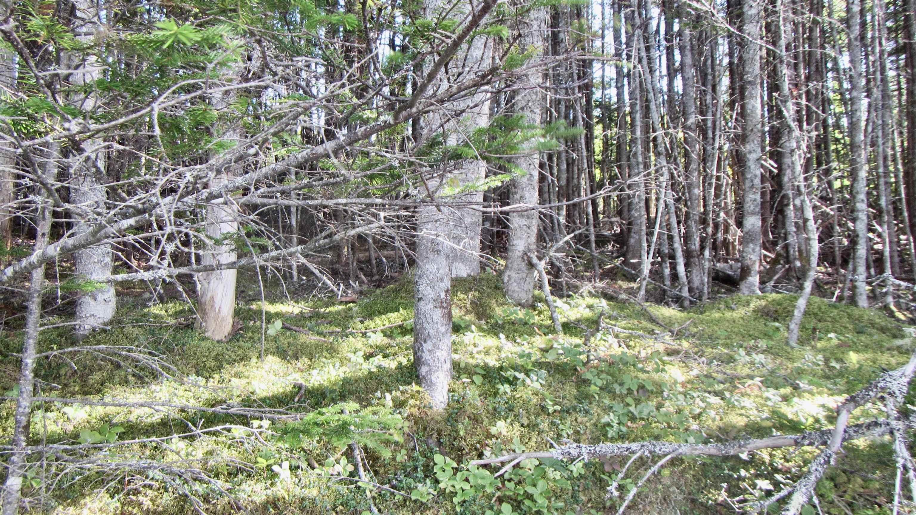 $395,000.00: 10Lots-49Acres 98 Pig Point Road, Framboise