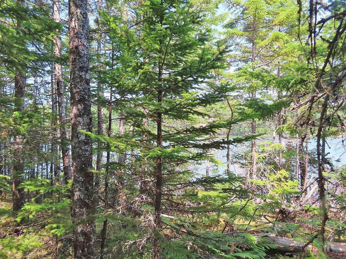 $75,000.00: Lot 2 Lower River Road, Hureauville