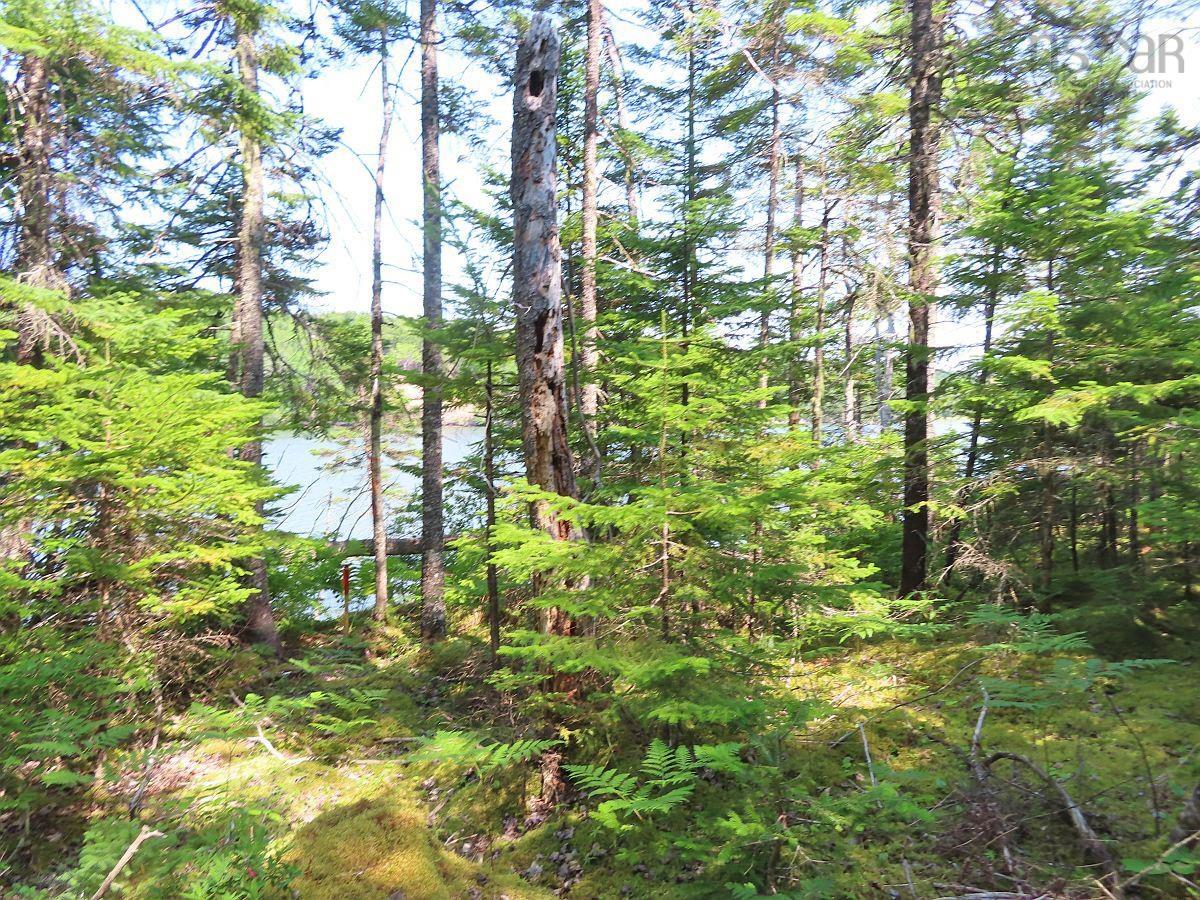 $75,000.00: Lot 2 Lower River Road, Hureauville