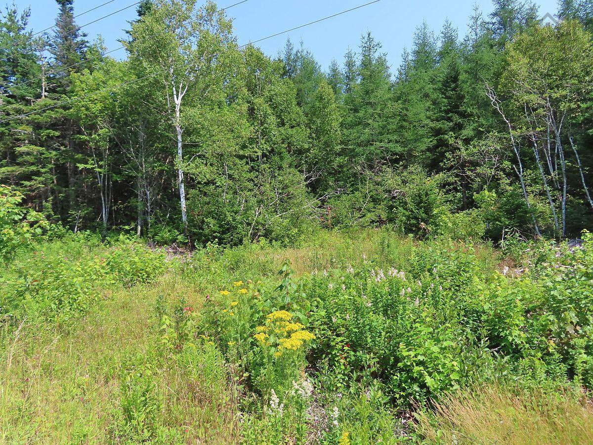 $75,000.00: Lot 2 Lower River Road, Hureauville