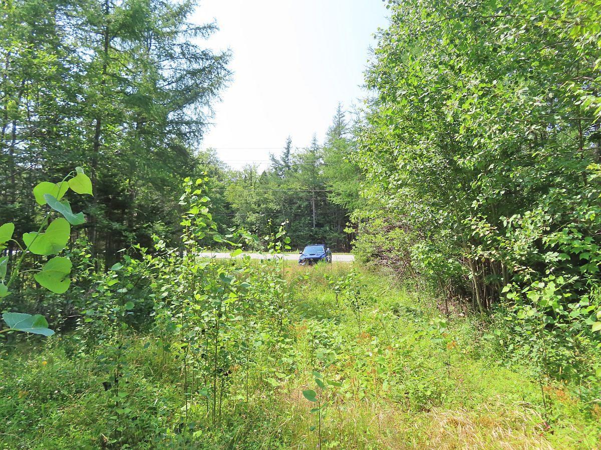 $75,000.00: Lot 2 Lower River Road, Hureauville