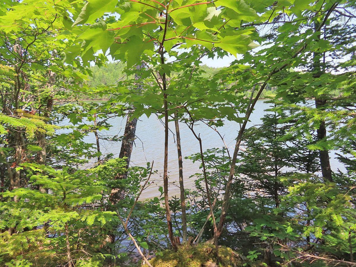 $75,000.00: Lot 2 Lower River Road, Hureauville