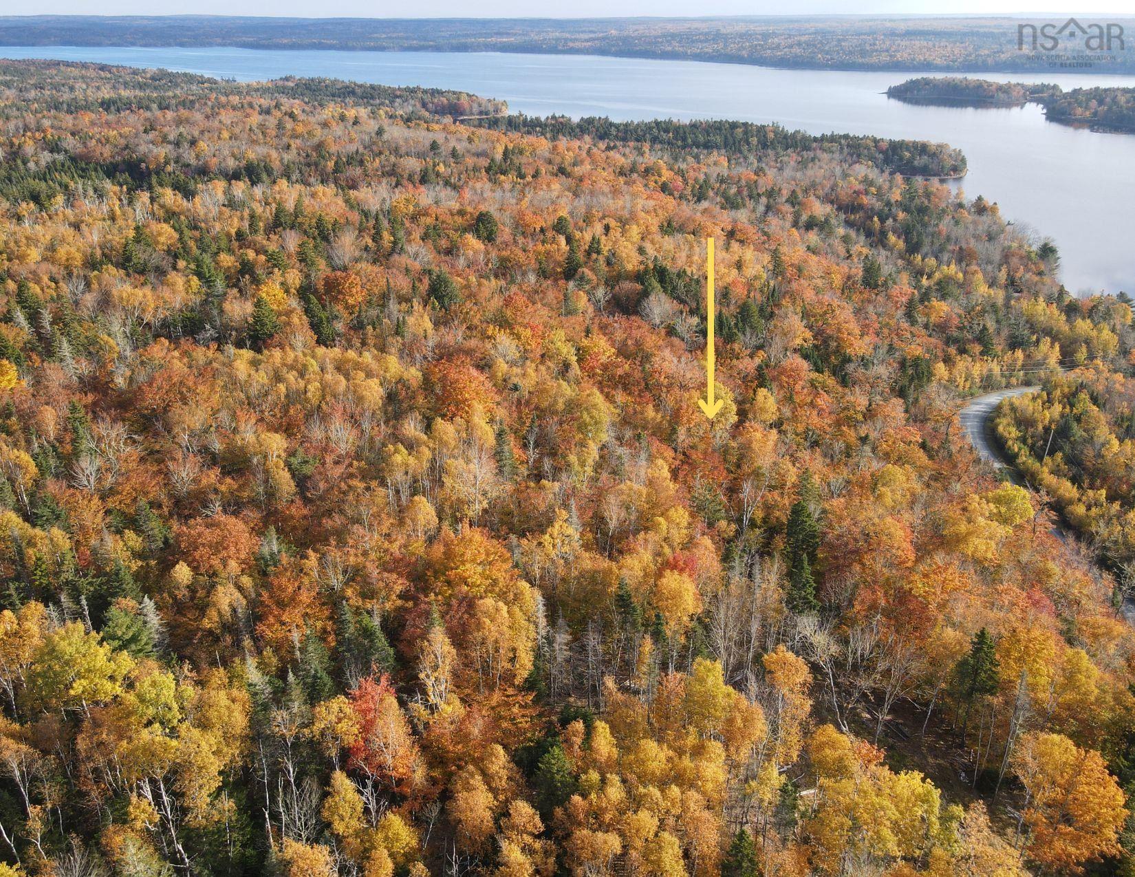 $54,900.00: Lot 9-4 Kill Dog Cove Road, Parkdale