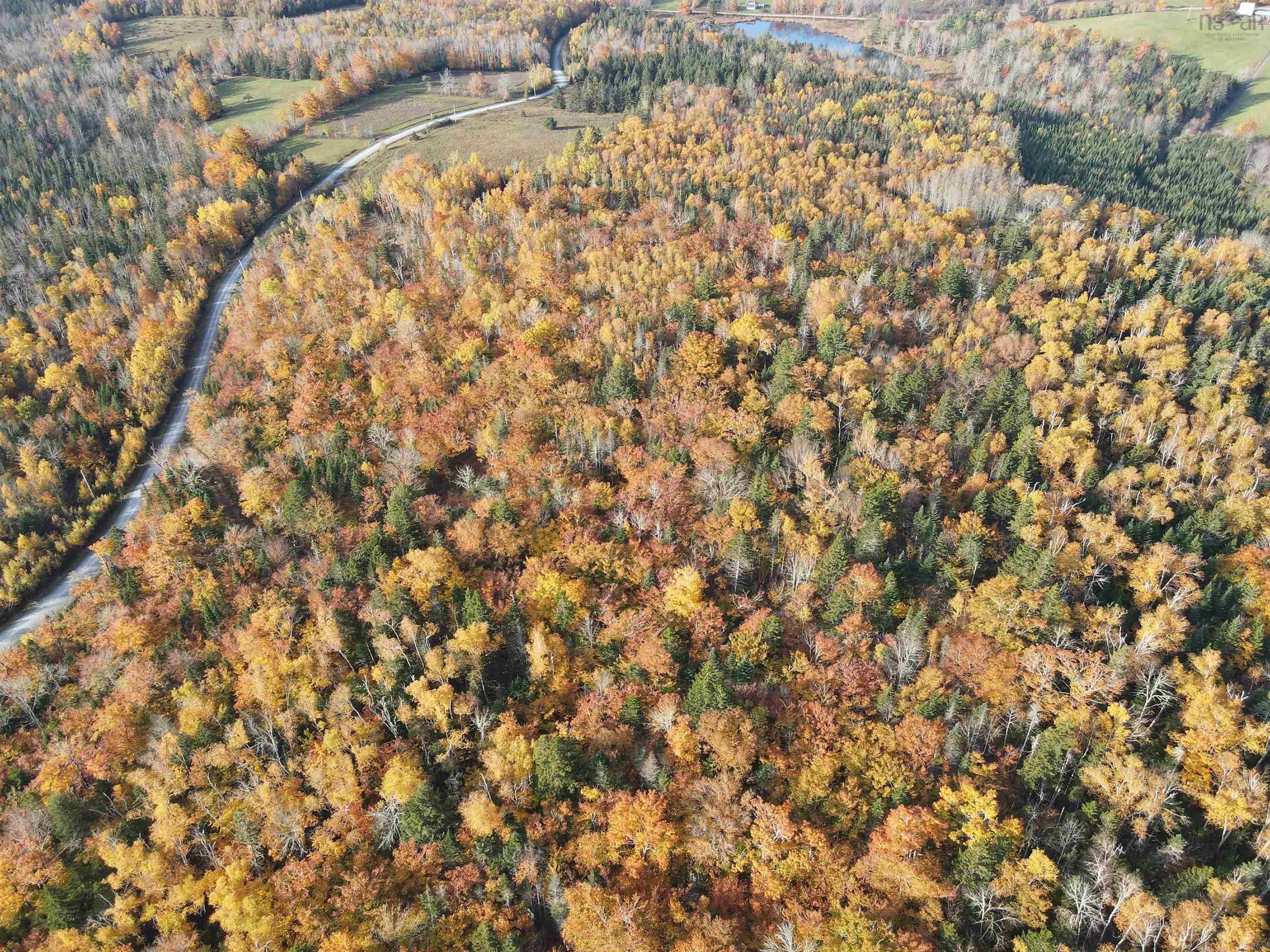 $54,900.00: Lot 9-4 Kill Dog Cove Road, Parkdale