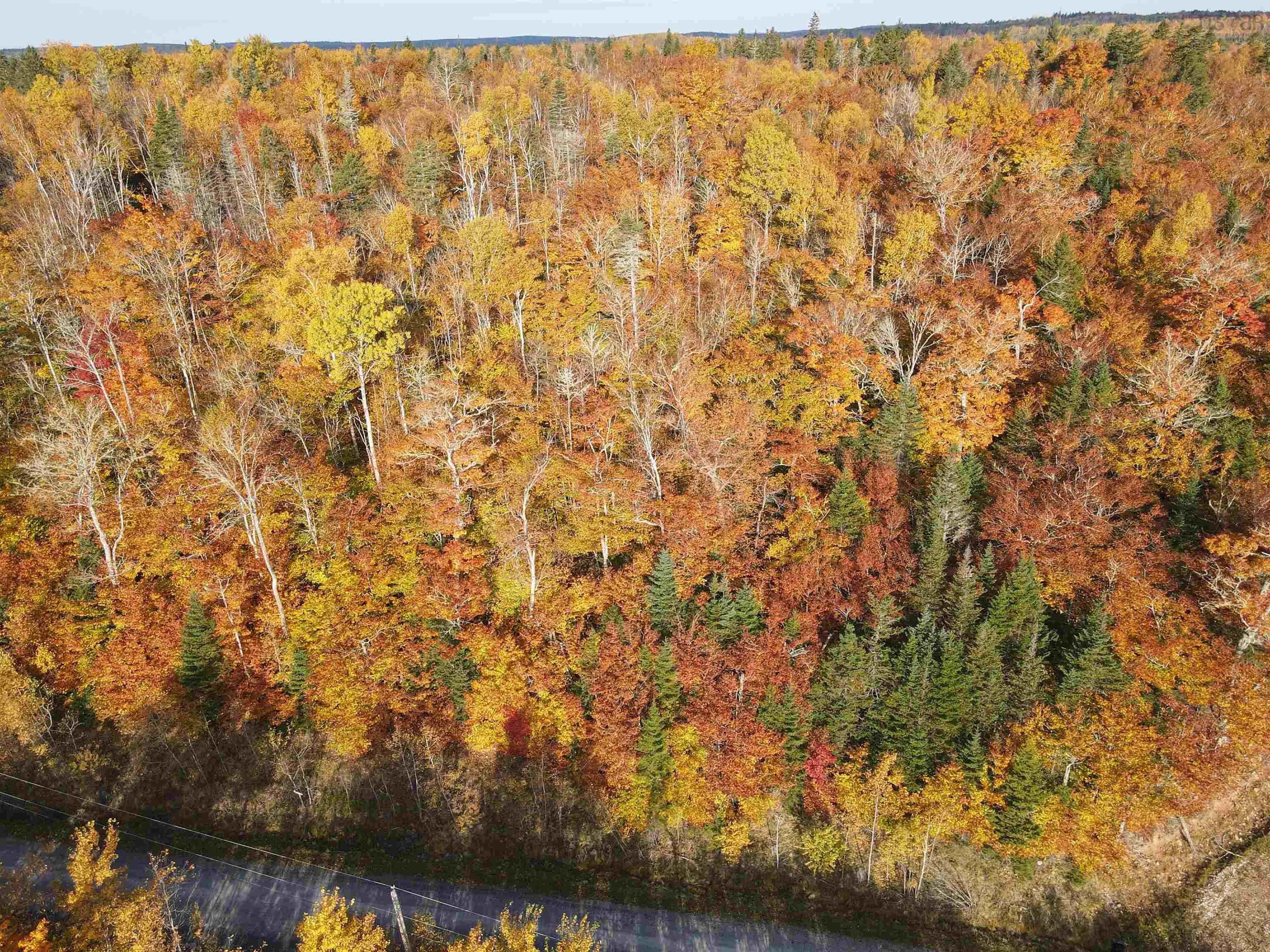 $54,900.00: Lot 9-4 Kill Dog Cove Road, Parkdale