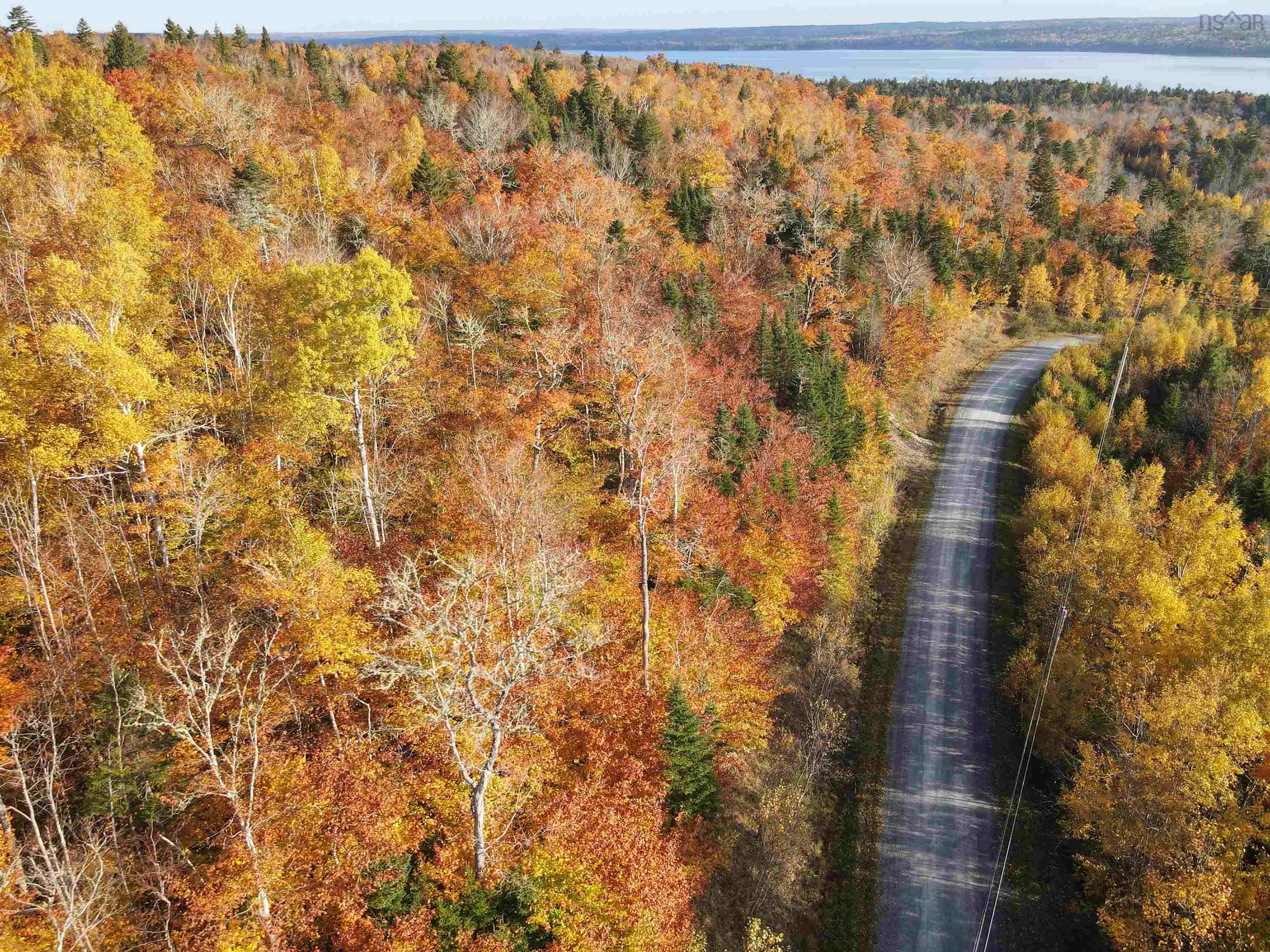 $54,900.00: Lot 9-4 Kill Dog Cove Road, Parkdale