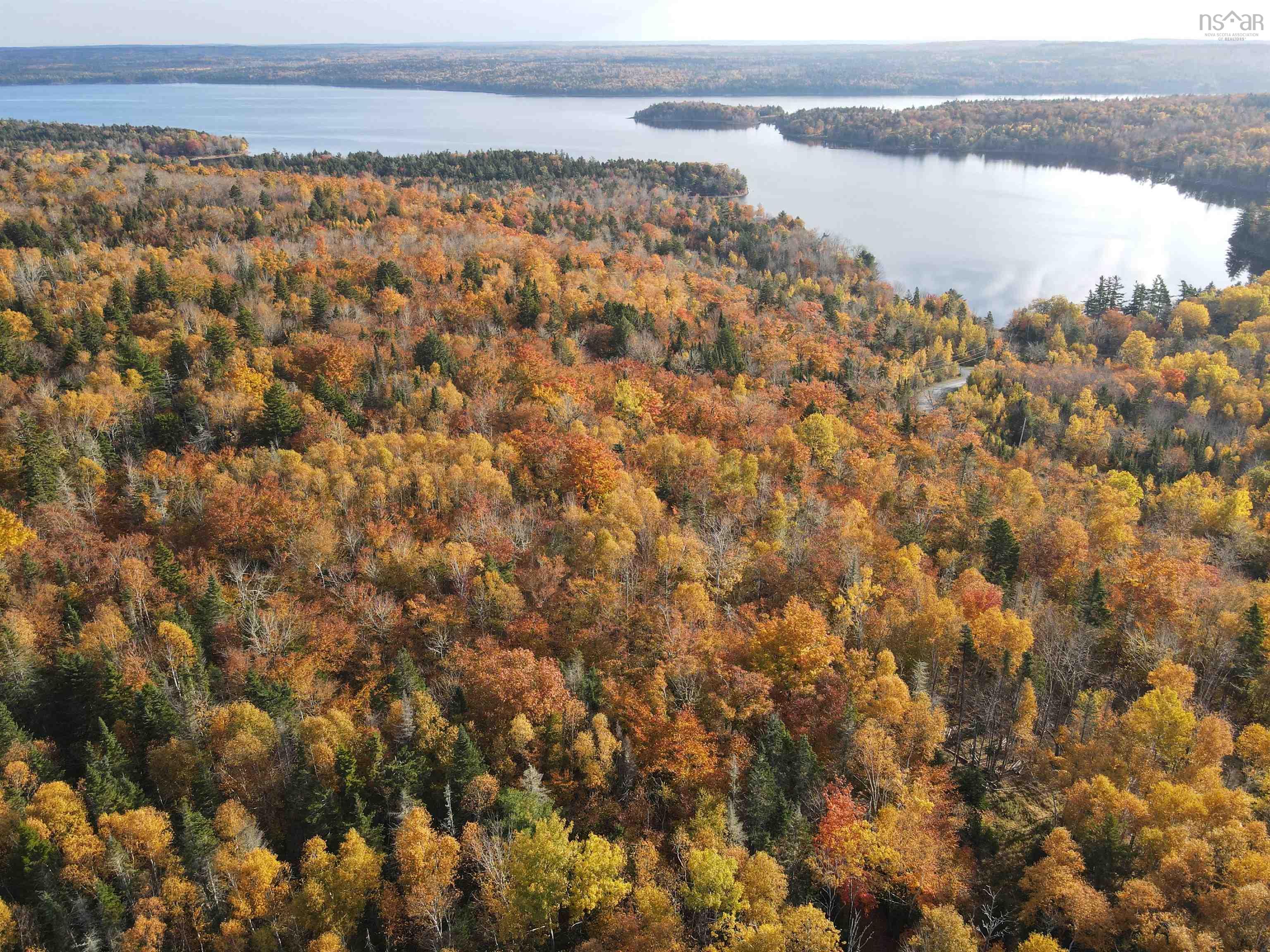 $54,900.00: Lot 9-4 Kill Dog Cove Road, Parkdale