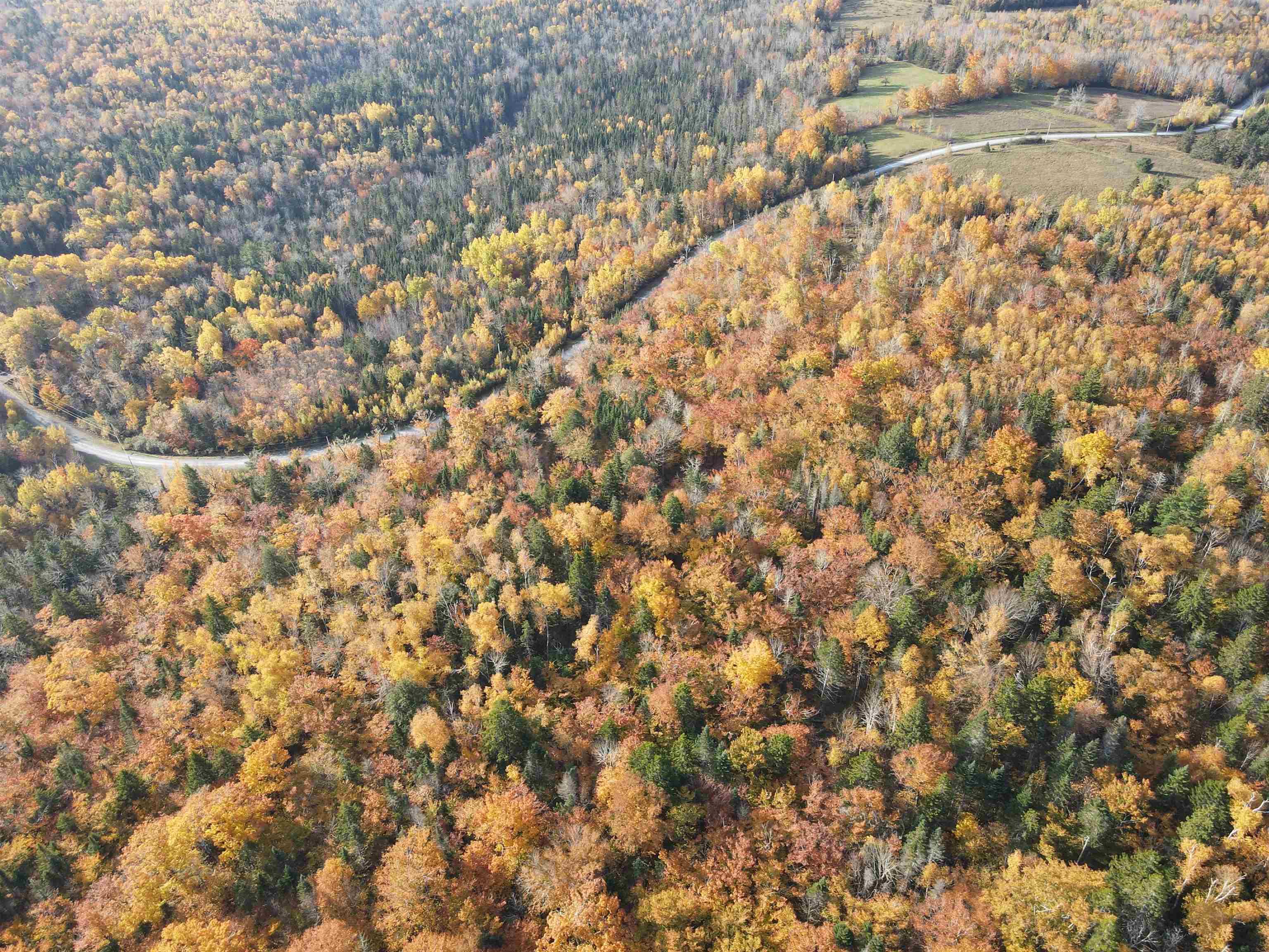 $54,900.00: Lot 9-4 Kill Dog Cove Road, Parkdale