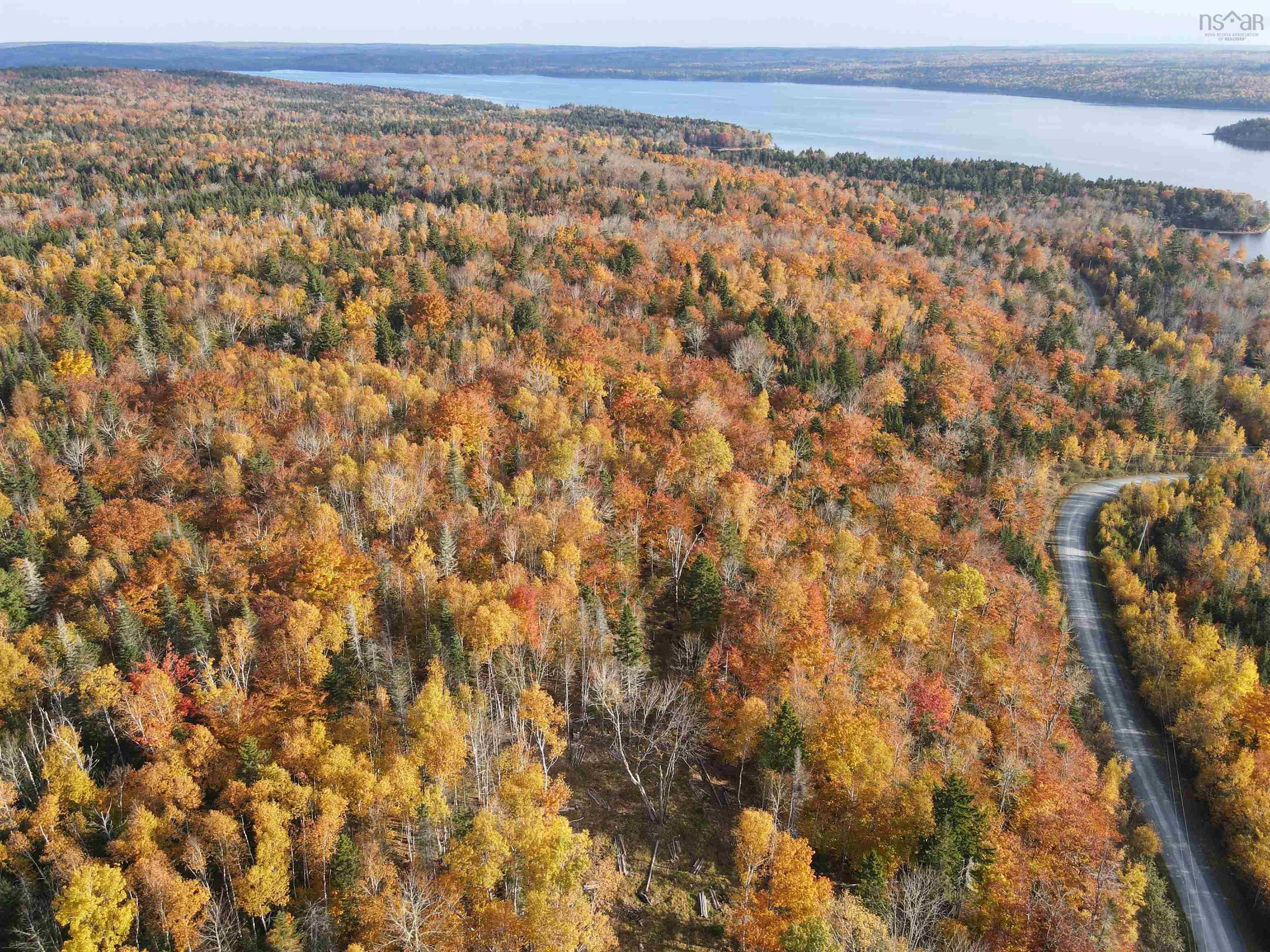 $54,900.00: Lot 9-4 Kill Dog Cove Road, Parkdale