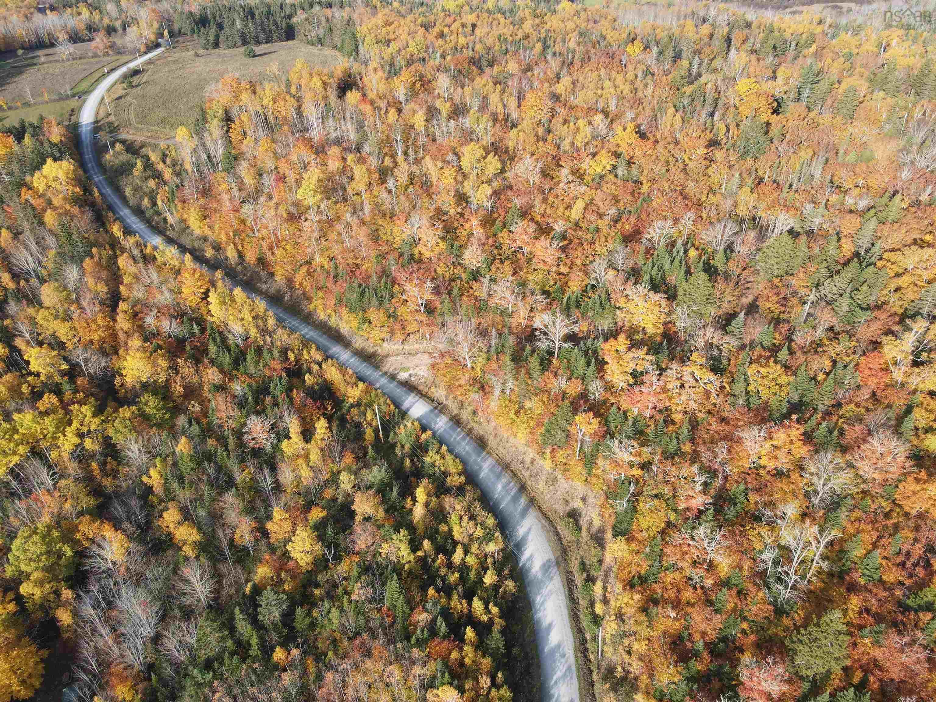 $54,900.00: Lot 9-4 Kill Dog Cove Road, Parkdale