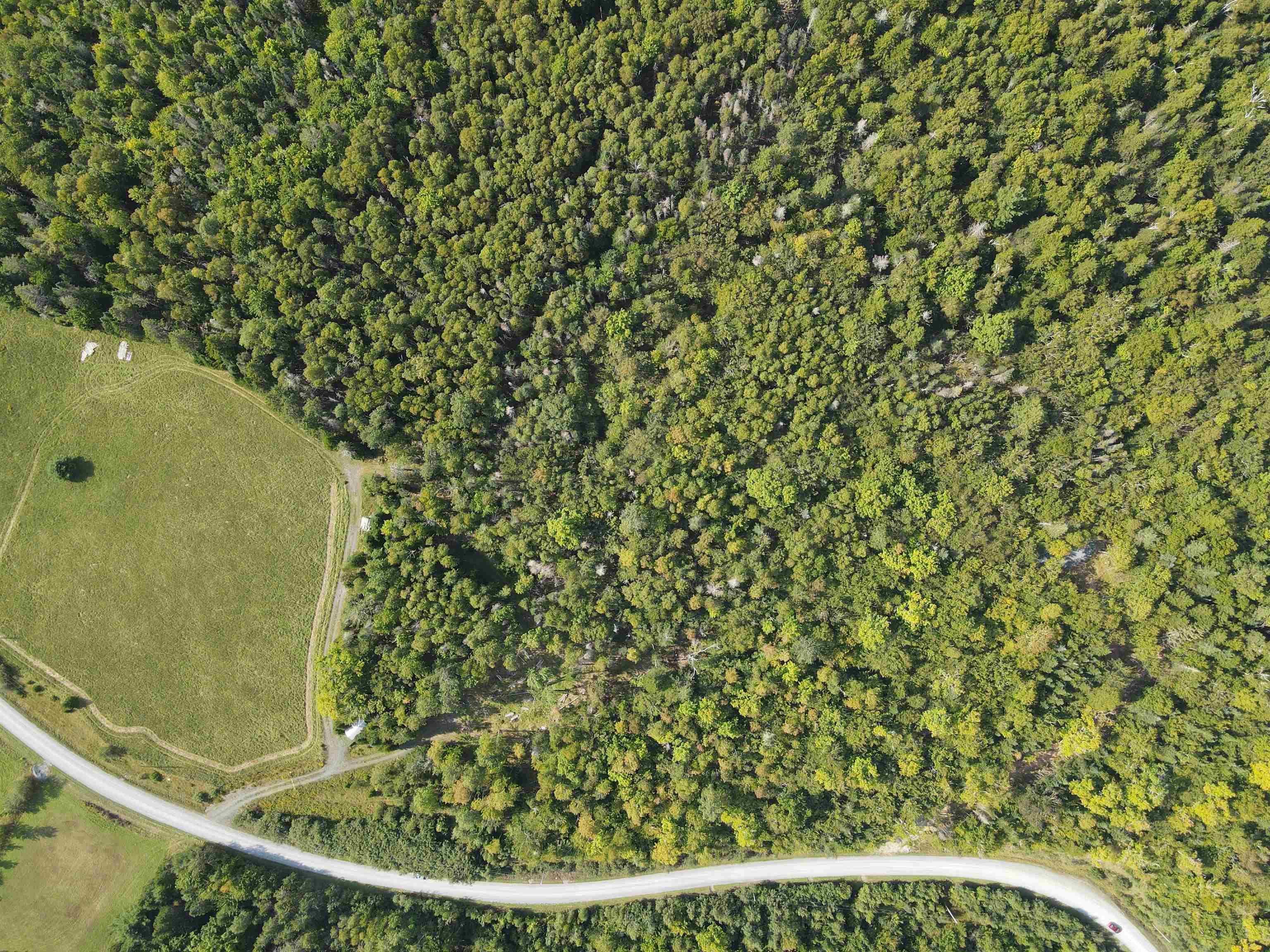 $54,900.00: Lot 9-4 Kill Dog Cove Road, Parkdale