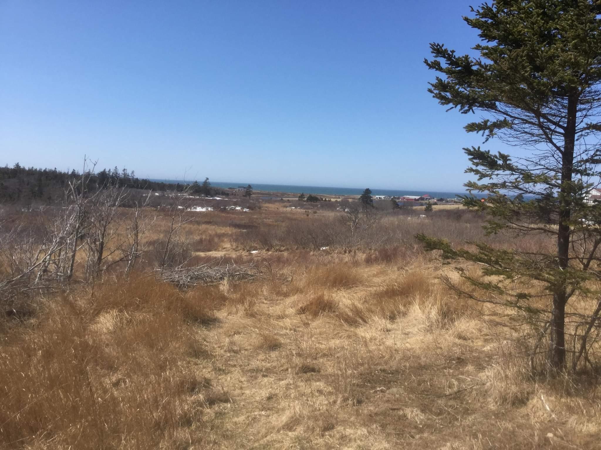 $80,000.00: Lot 5 Main Shore Road, Sandford